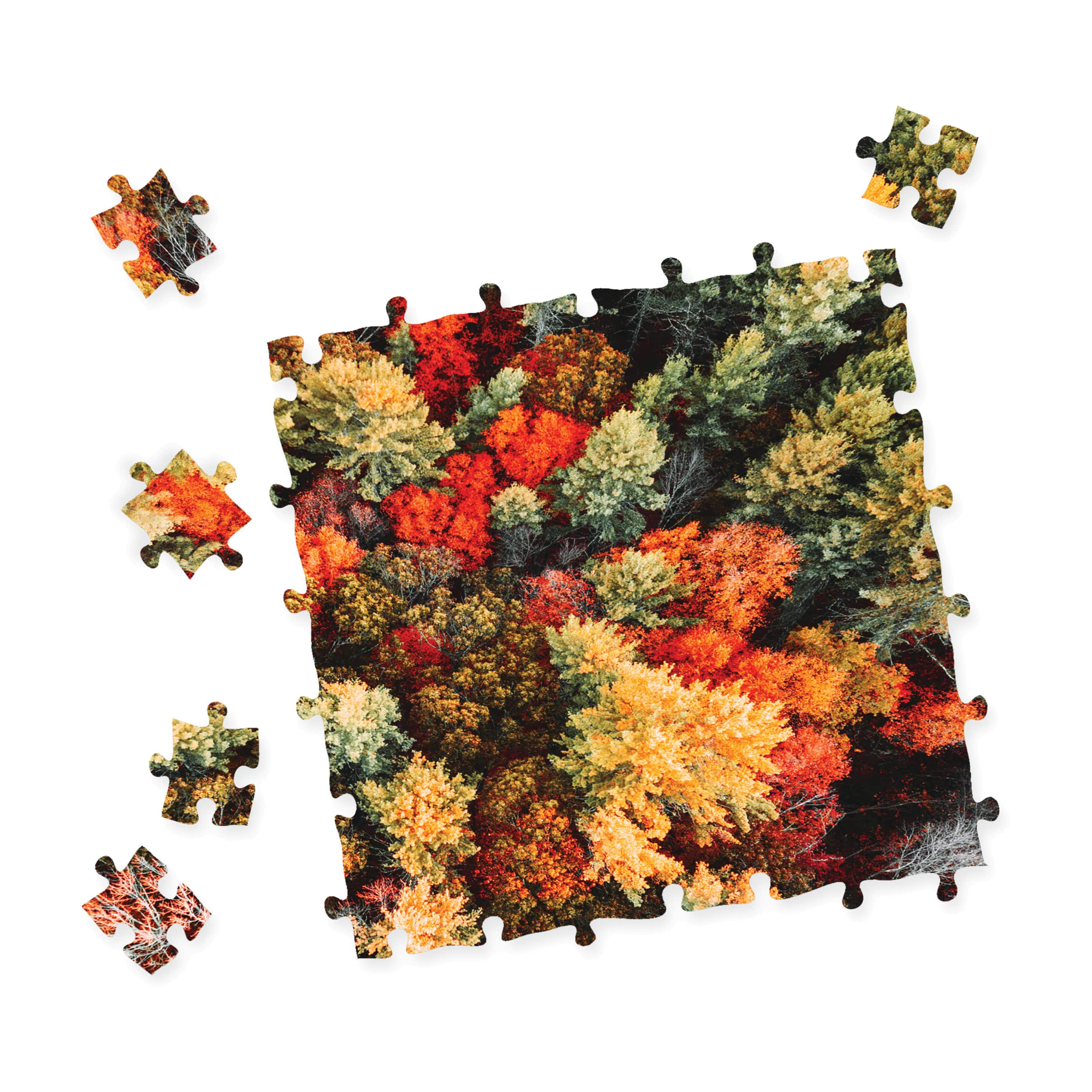 Impossibles Puzzle - Falling for Fall: 1000 Pcs