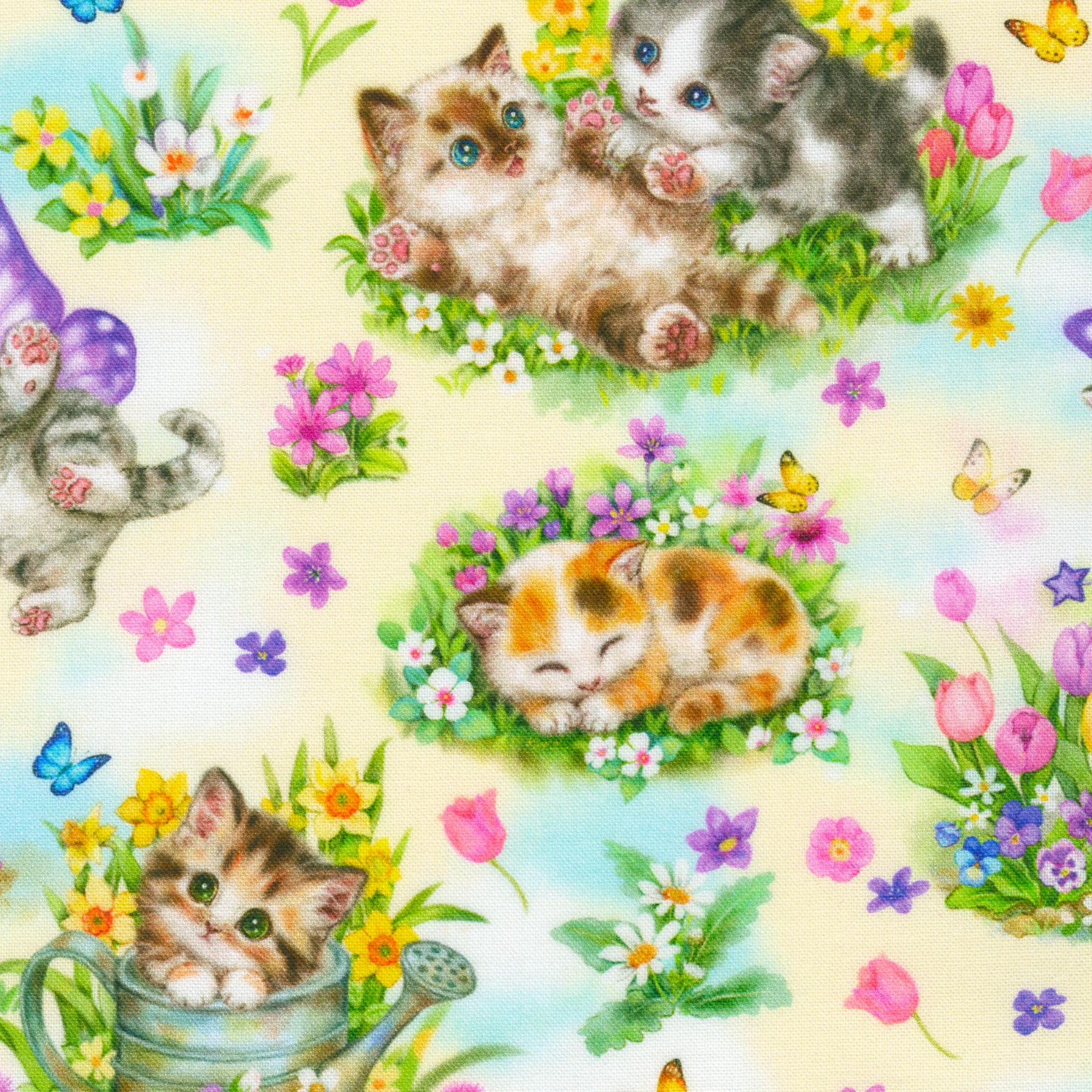 Robert Kaufman Daydreaming Kitties Cotton Fabric