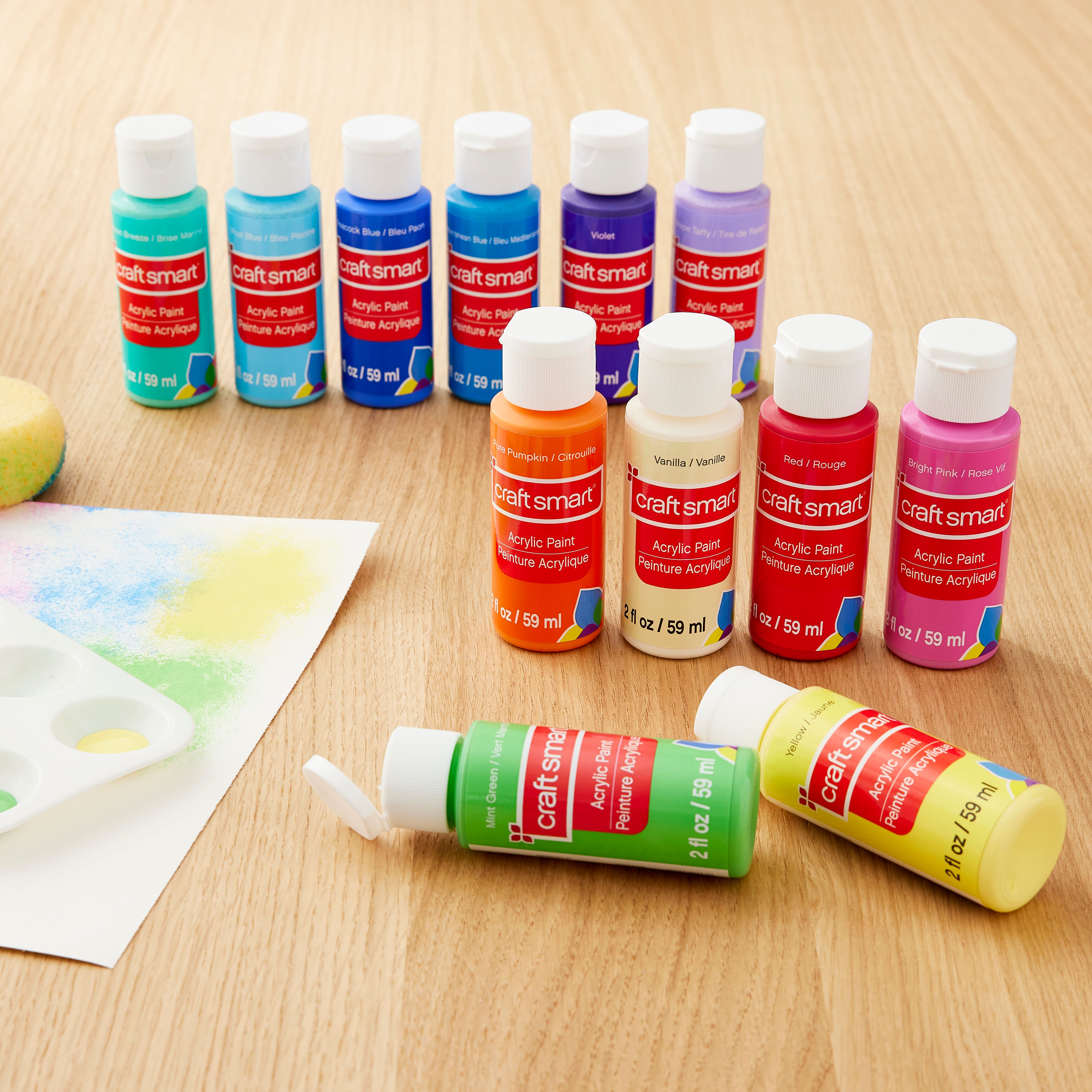12 Colour Bright Acrylic Paint Value Pack by Craft Smart®