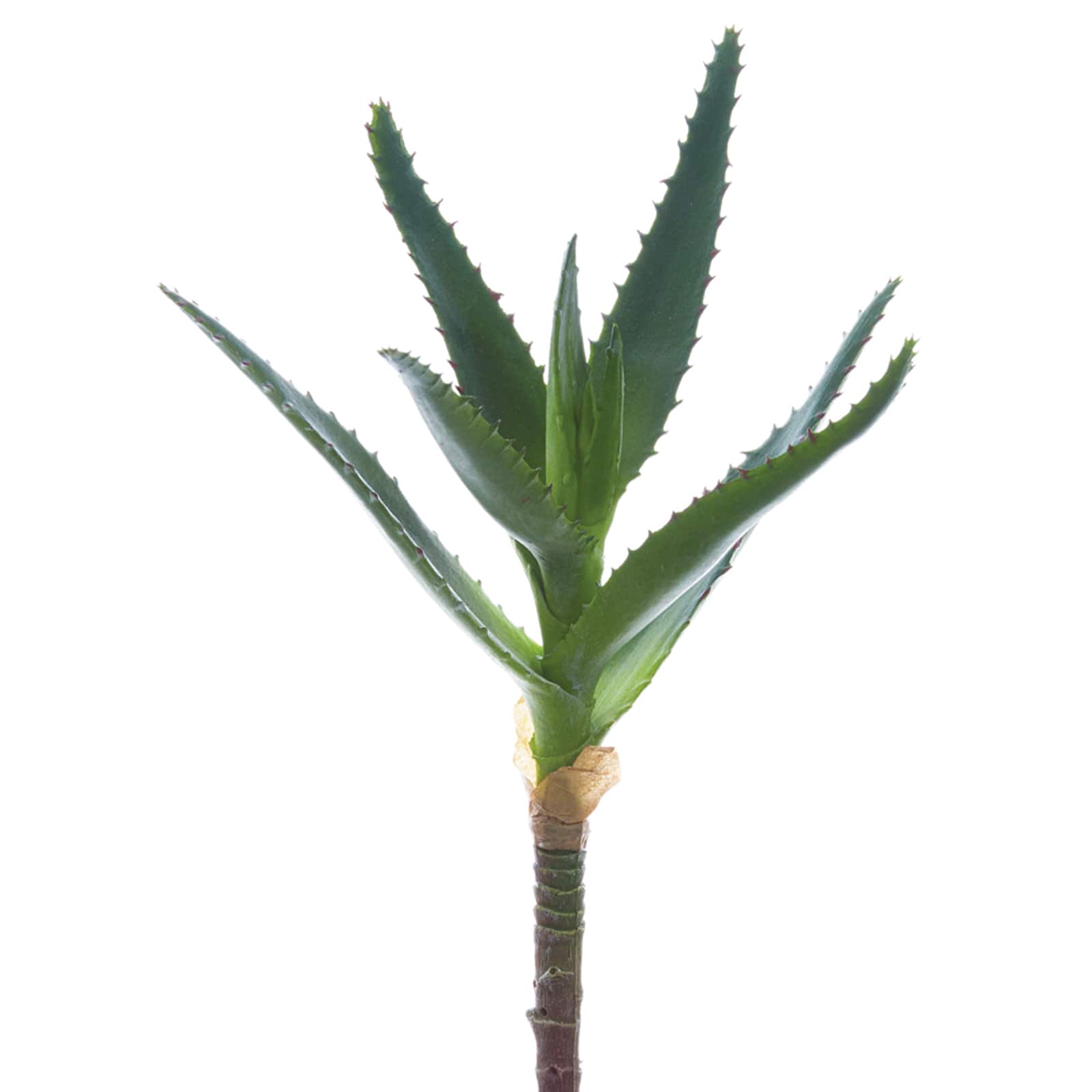 Soft Touch Green Agave Pick 