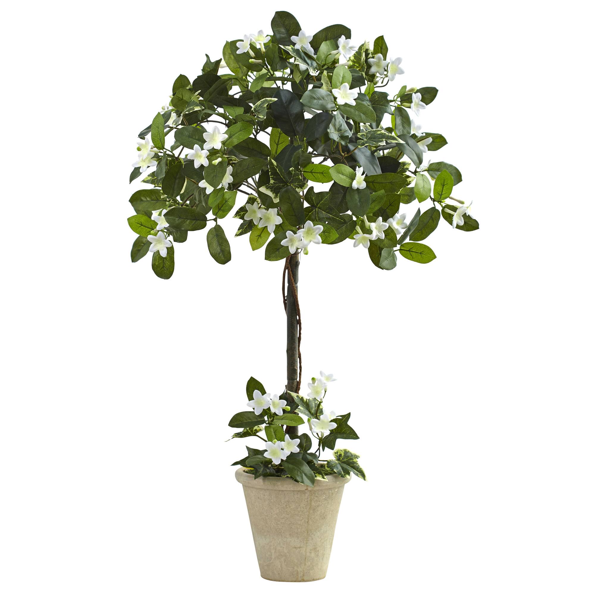 3ft. White Stephanotis Topiary In Planter Michaels
