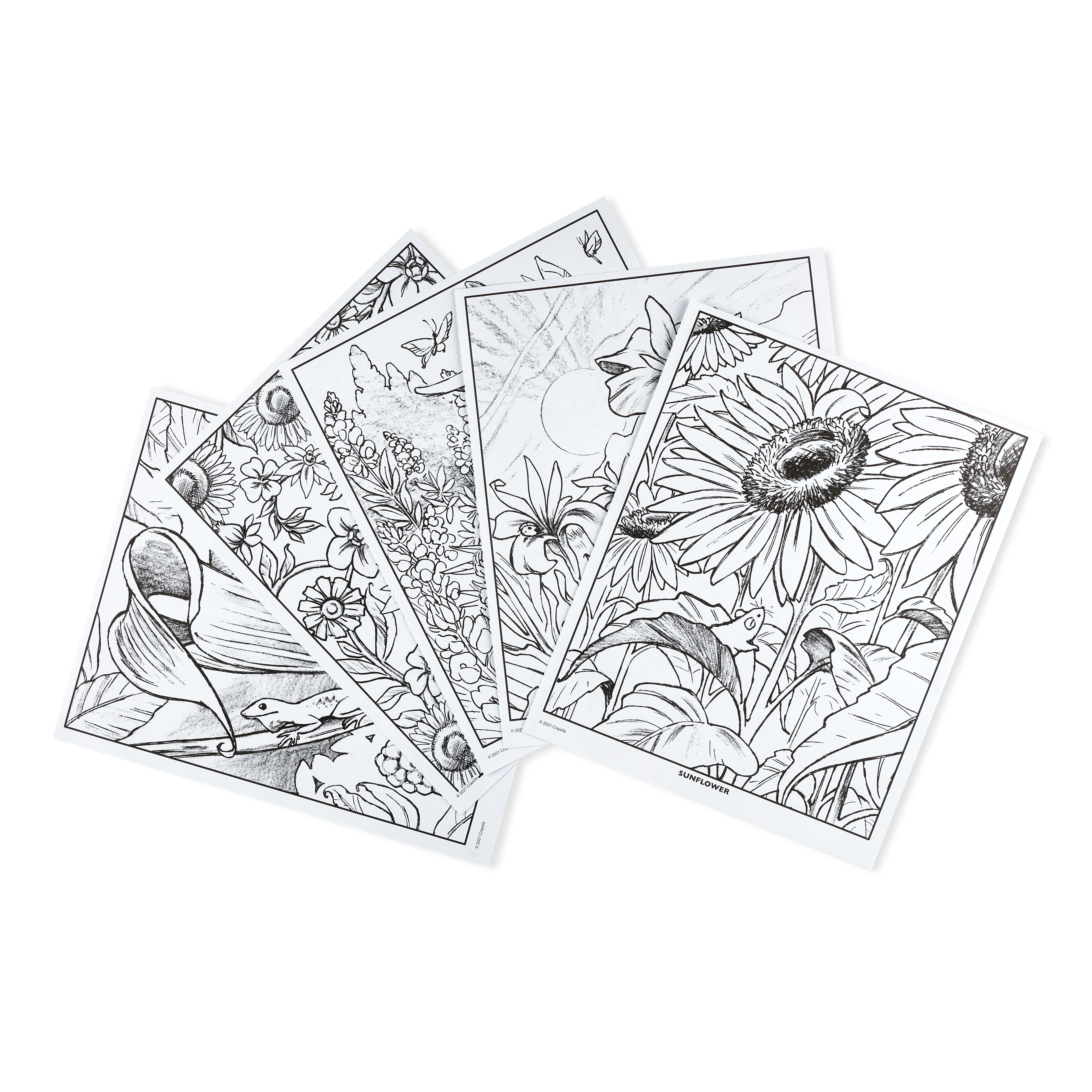 Crayola&#xAE; Wildflowers Coloring Book