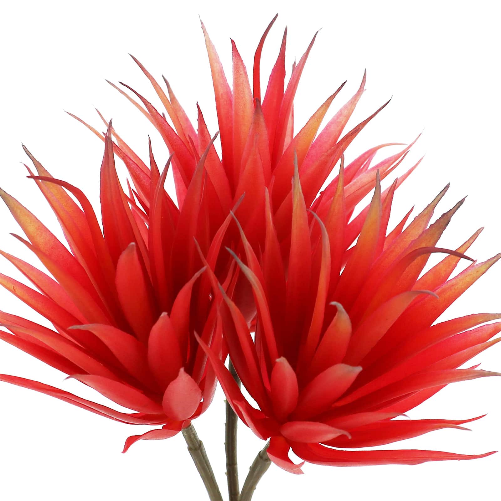 10&#x22; Red-Orange Succulent Pick by Ashland&#xAE;