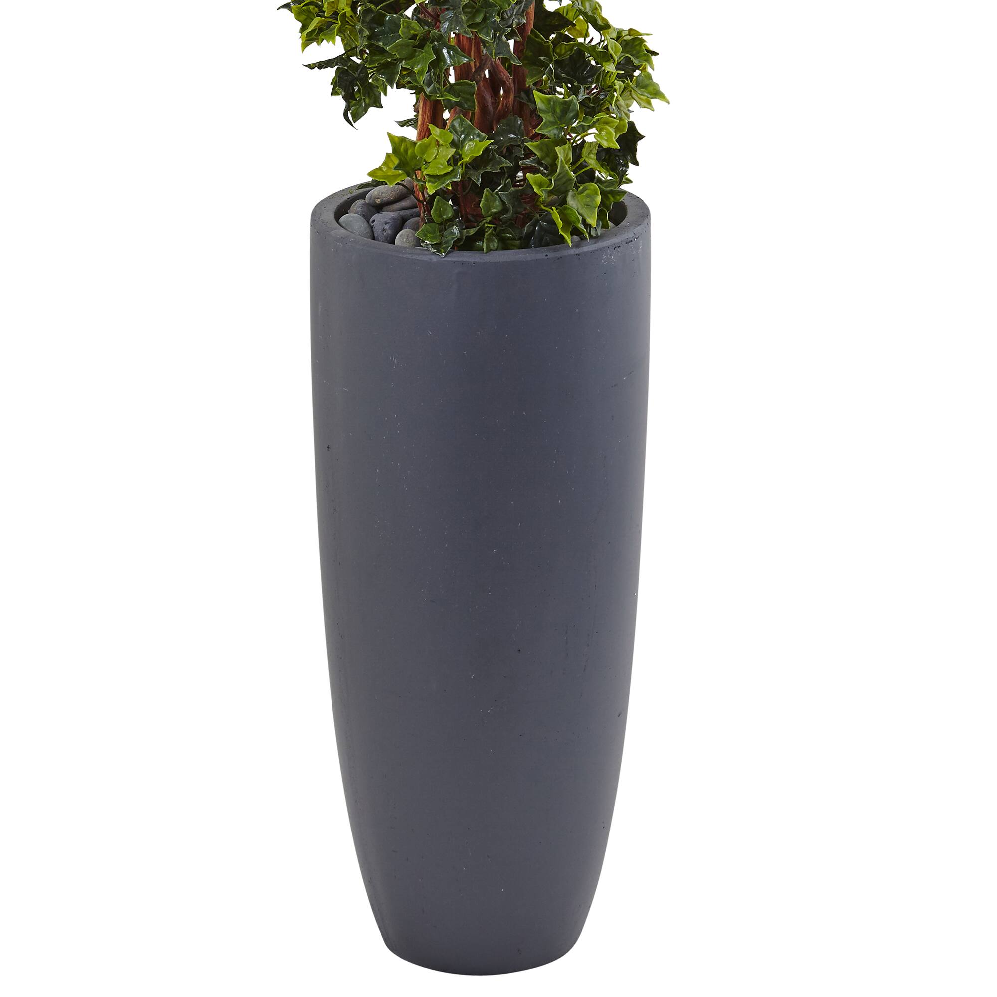 5ft. English Ivy Spiral Topiary Tree in Gray Planter