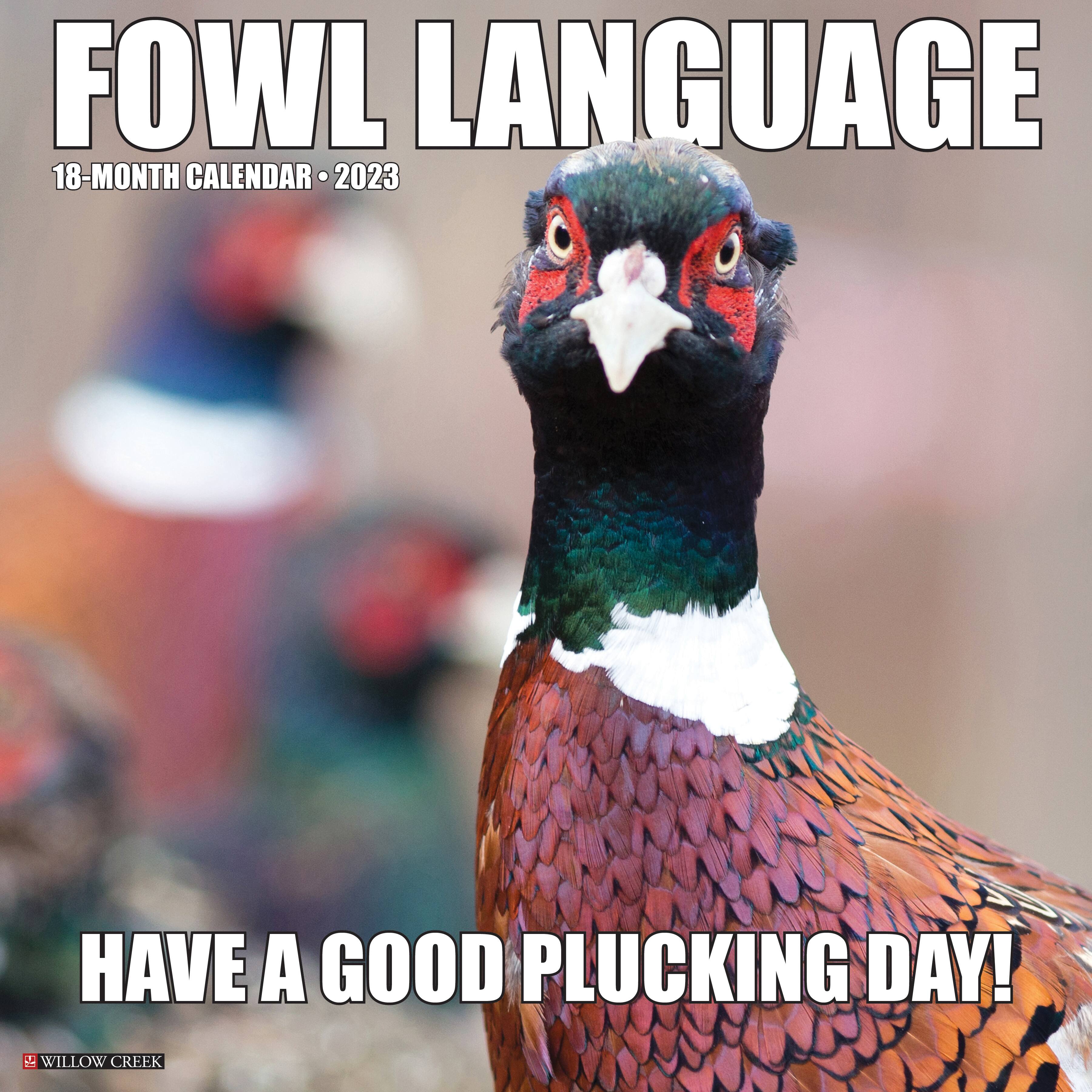 2023 Fowl Language Wall Calendar | Michaels