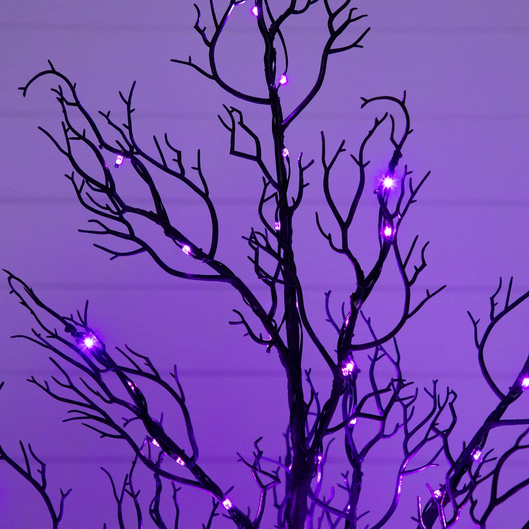 4ft. Pre-Lit Halloween Minimalist Twig Artificial Fall Tree with 160 Orange &#x26; Purple LED Lights