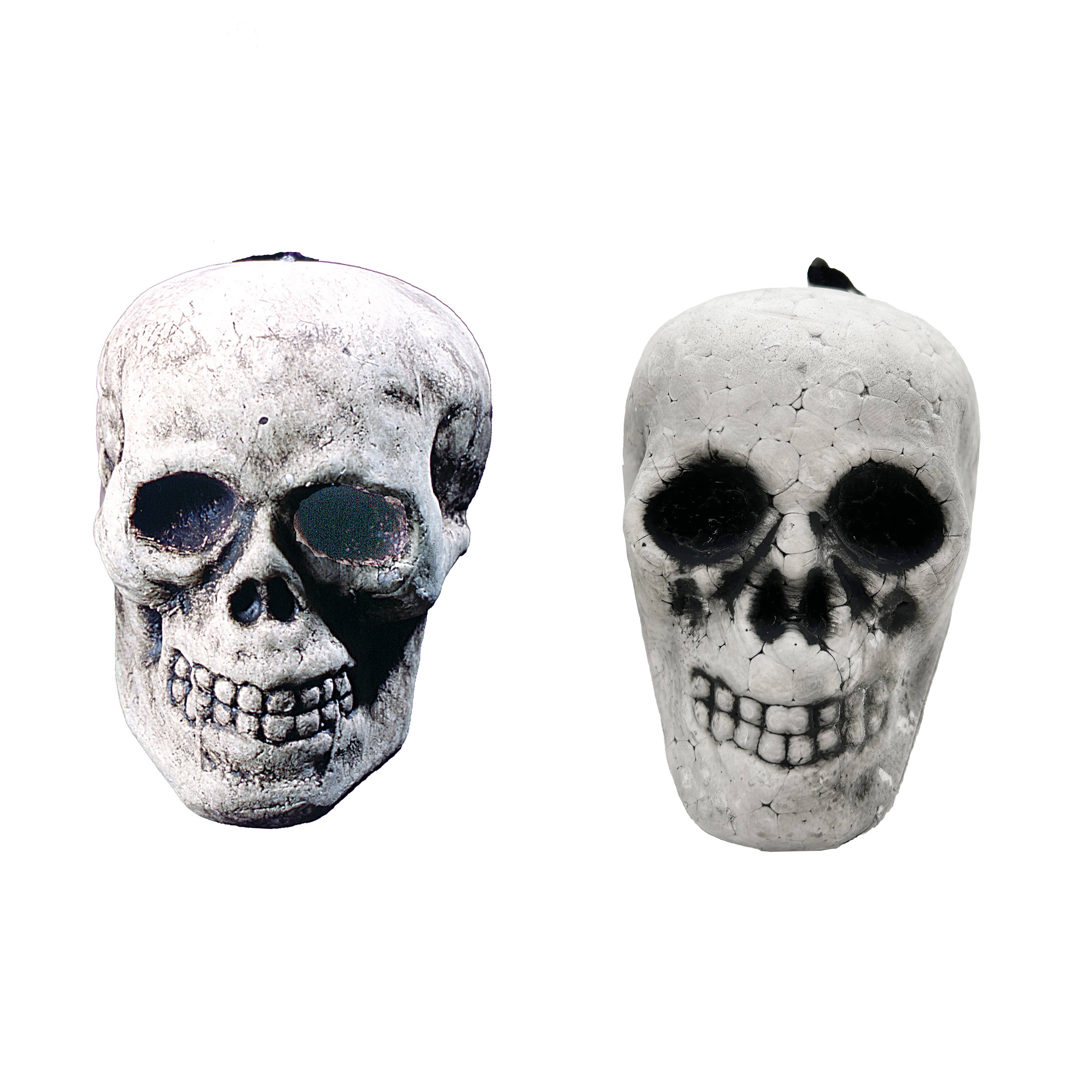 Assorted 3.5&#x22; Skull by Ashland&#xAE;, 1pc.