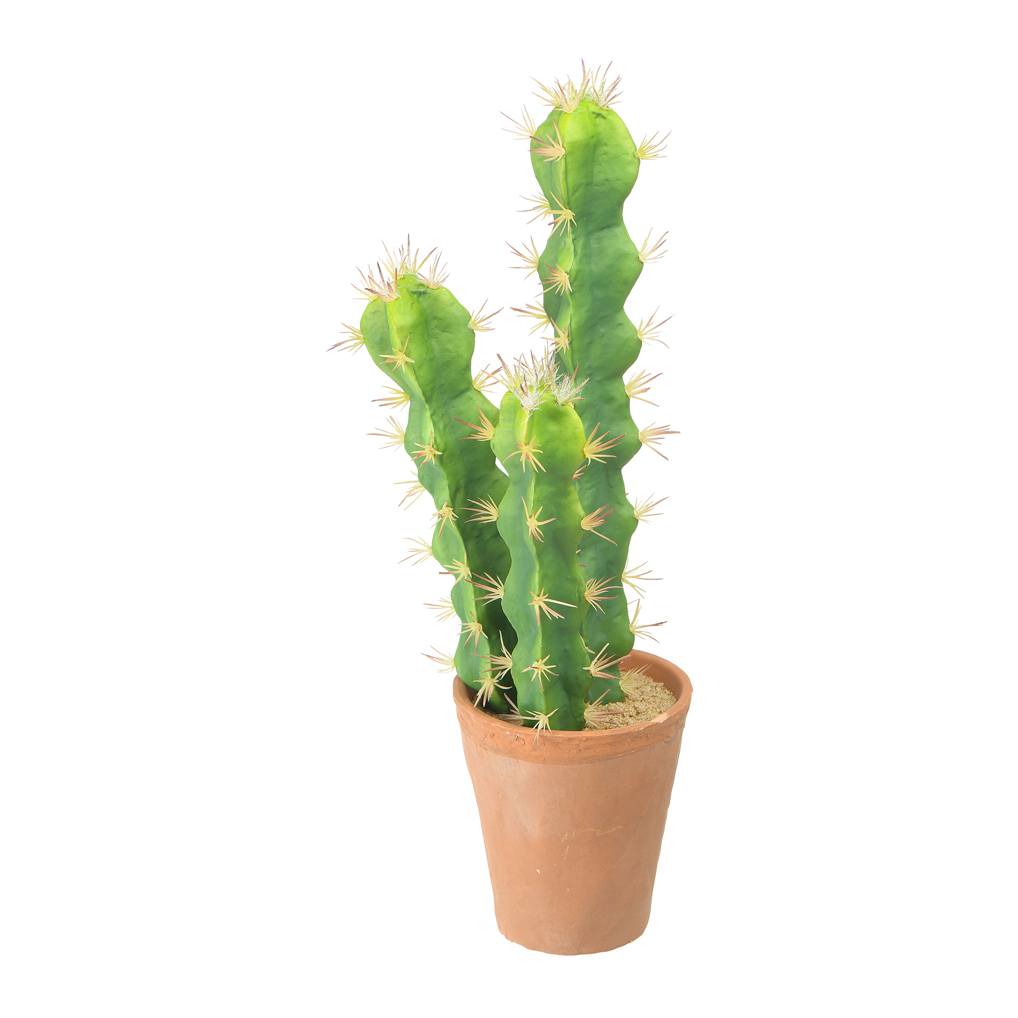 18&#x22; Cereus Cactus in Terra Cotta Colored Pot