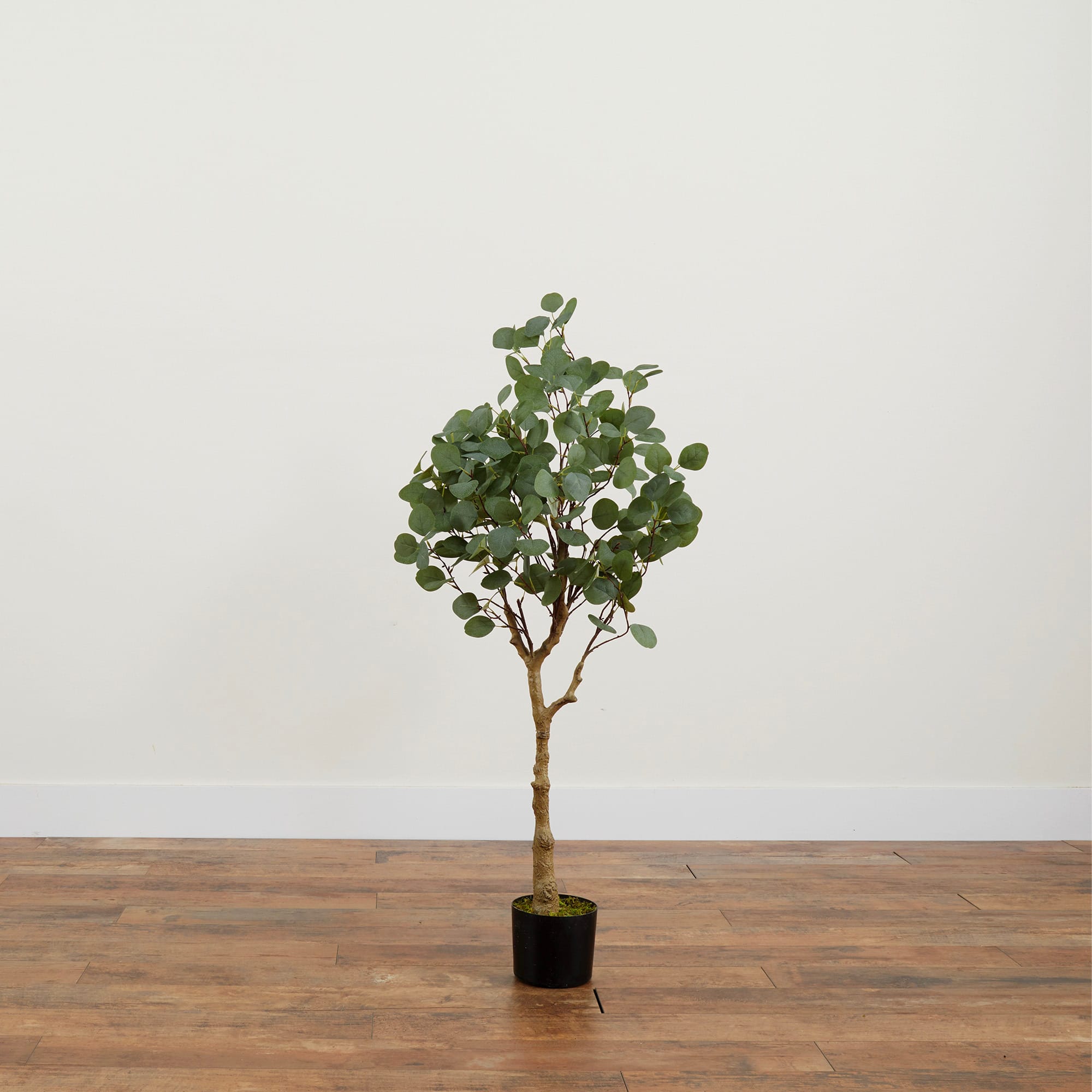 4ft. Potted Artificial Eucalyptus Tree