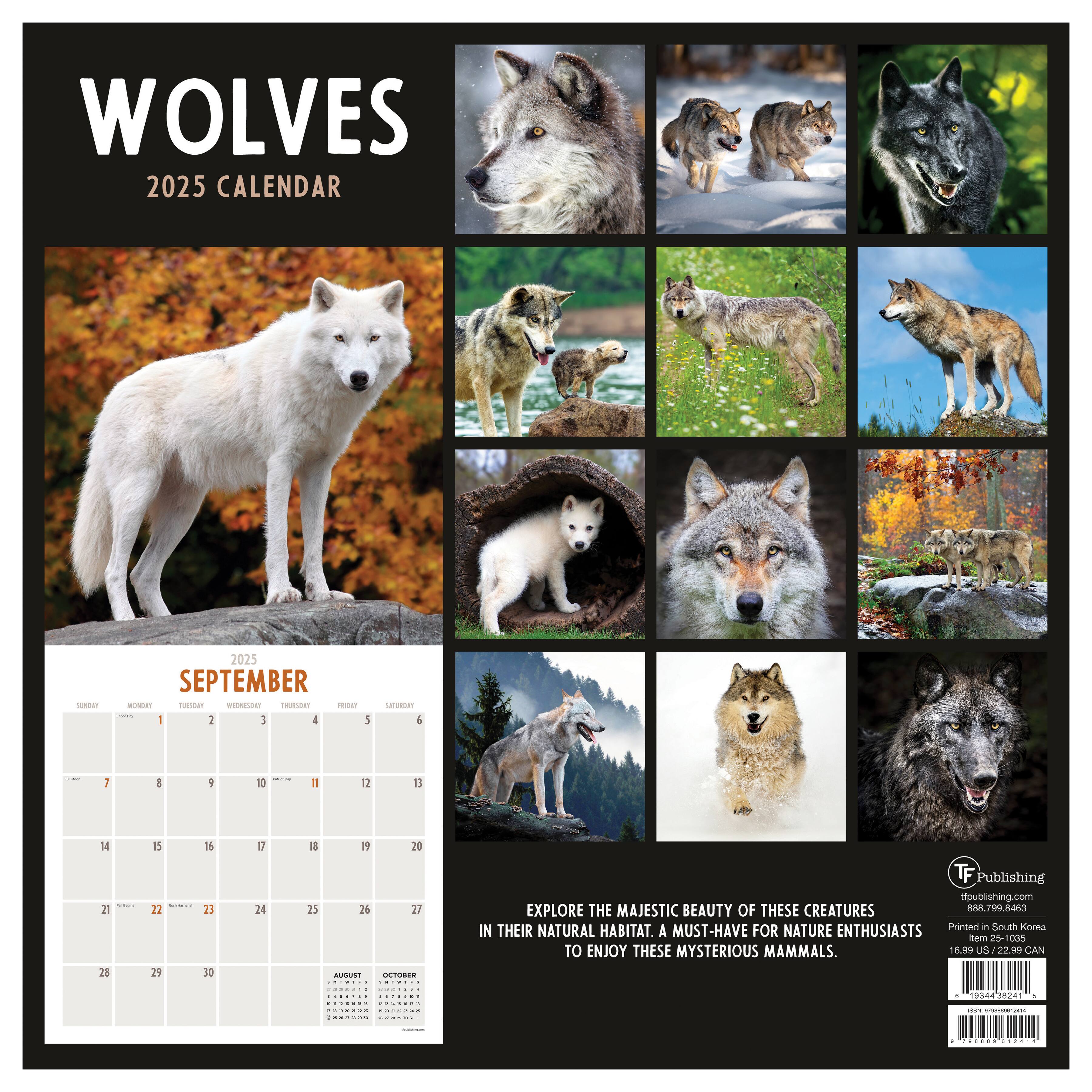 TF Publishing 2025 Wolves Wall Calendar