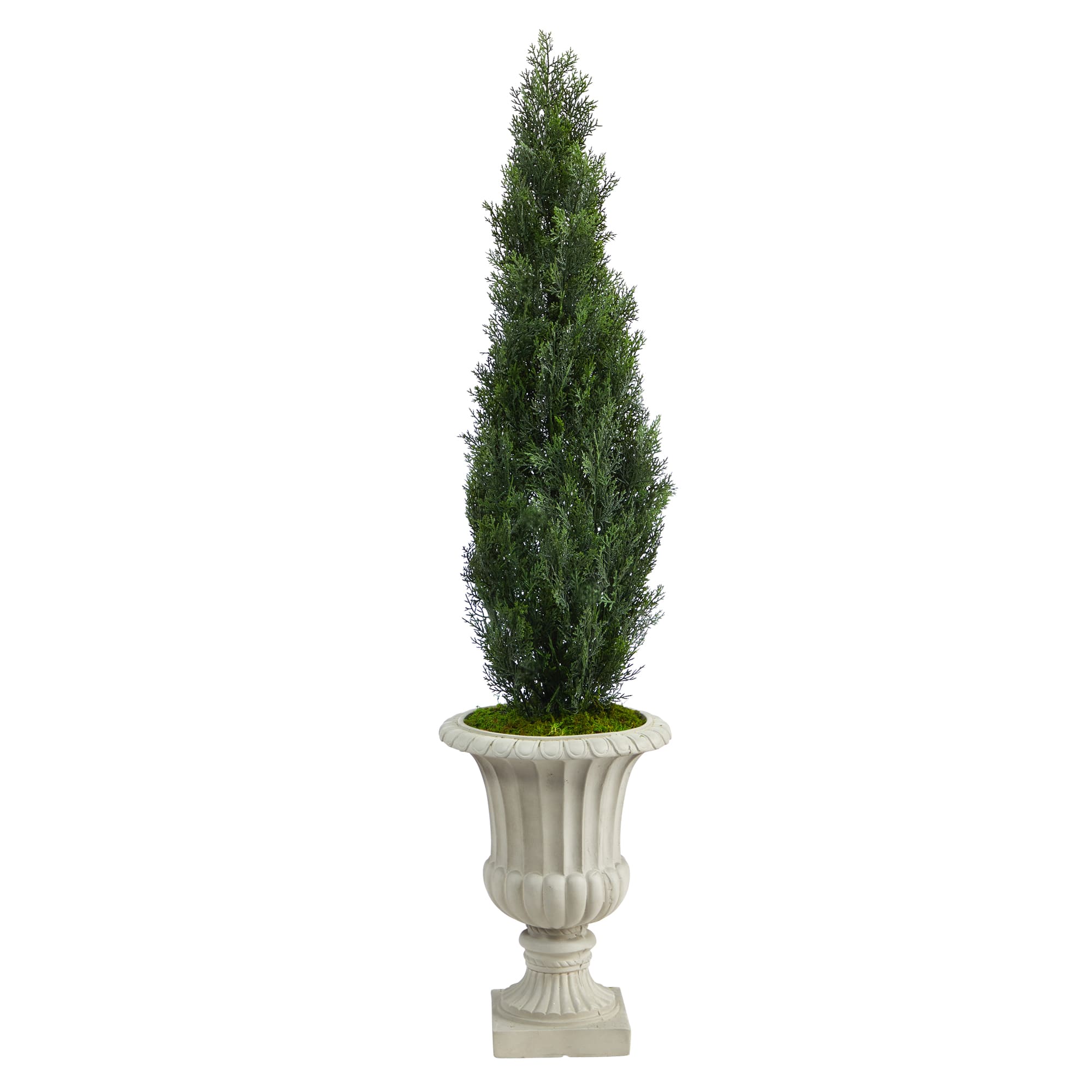 5ft. Cedar Tree in Sand Finished Urn