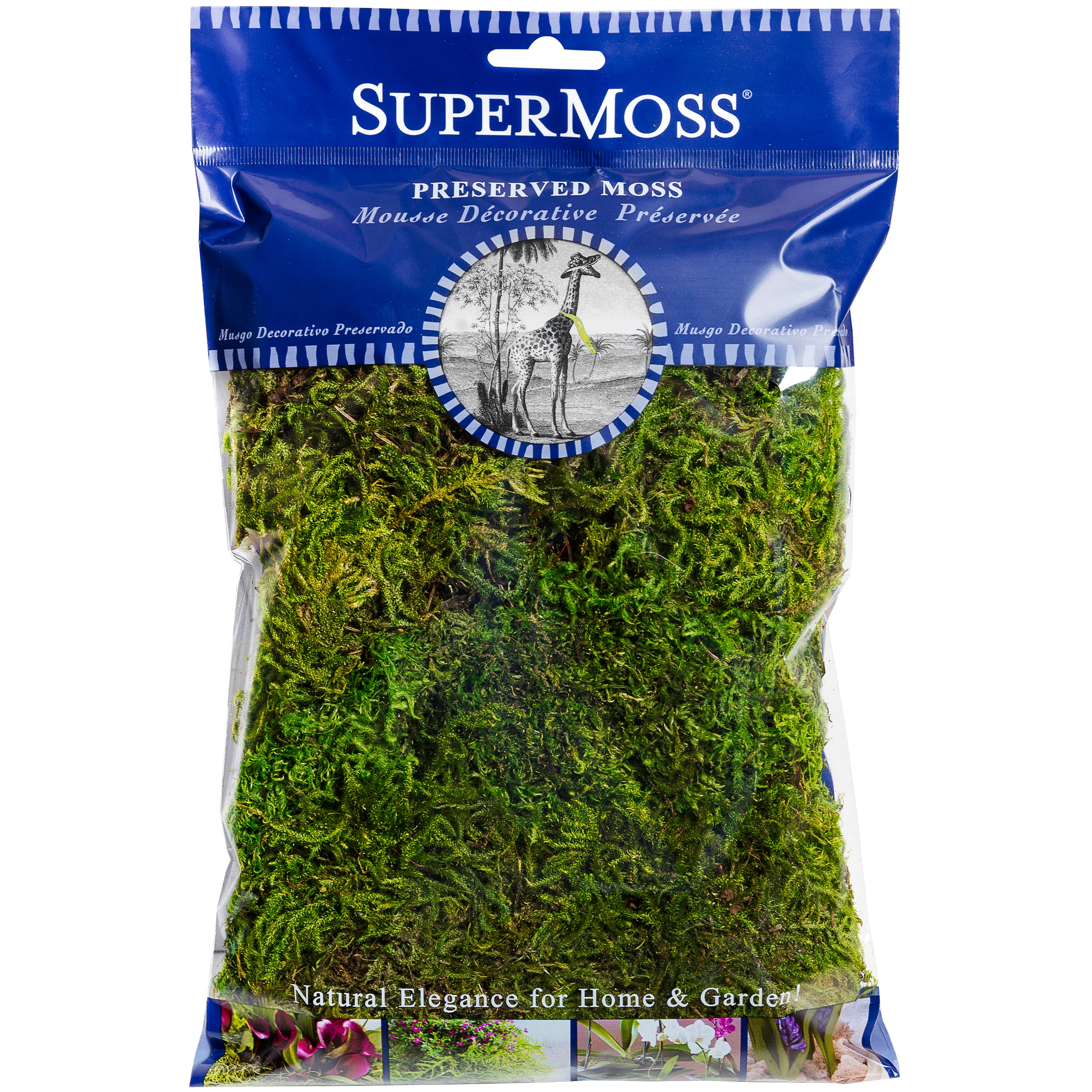 SuperMoss Forest Moss Preserved Fresh Green 2 oz
