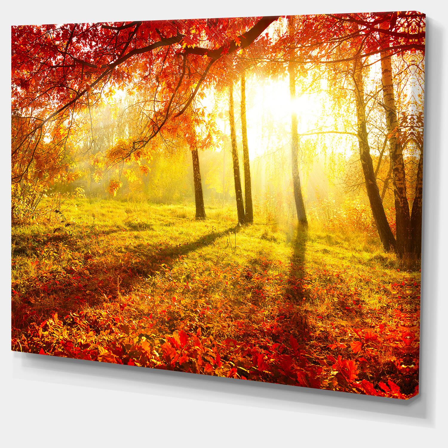 Designart - Yellow Red Fall Trees and Leaves - Landscape Canvas Art Print