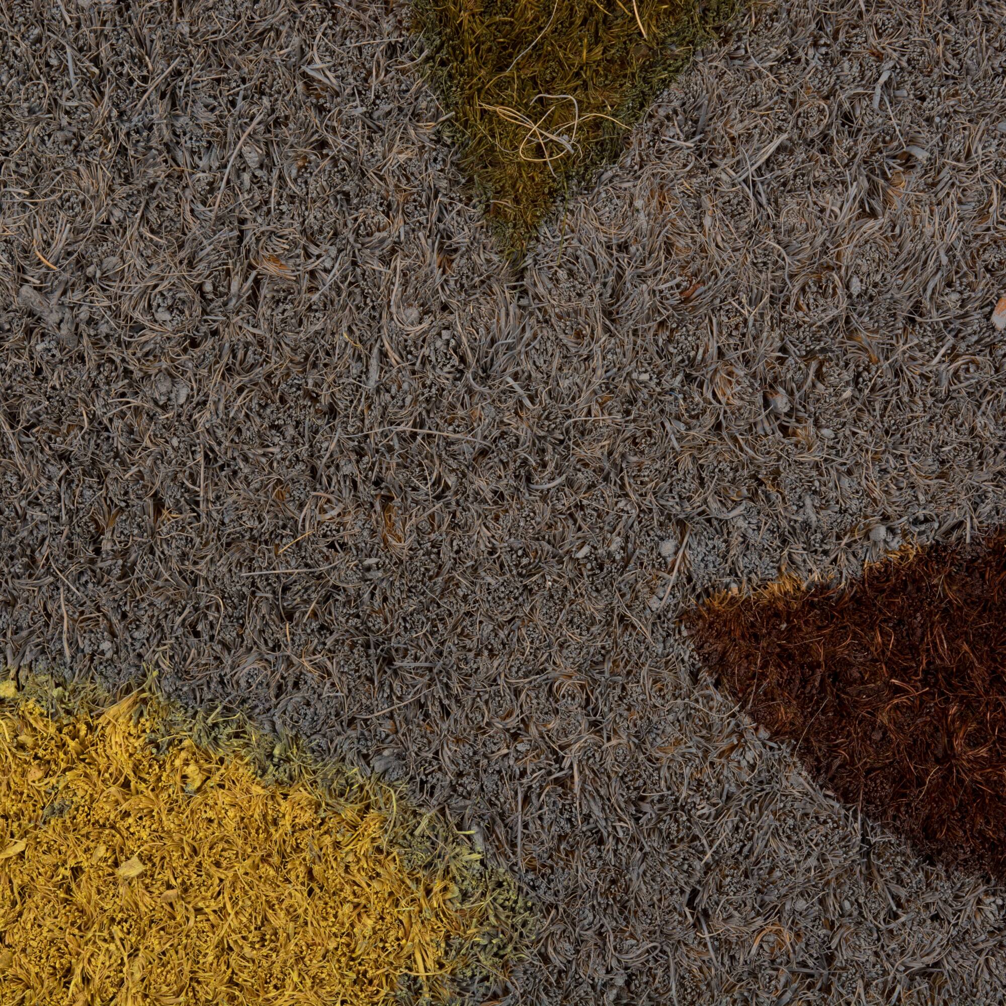 DII® Natural Ferns Vinyl Back Coir Doormat