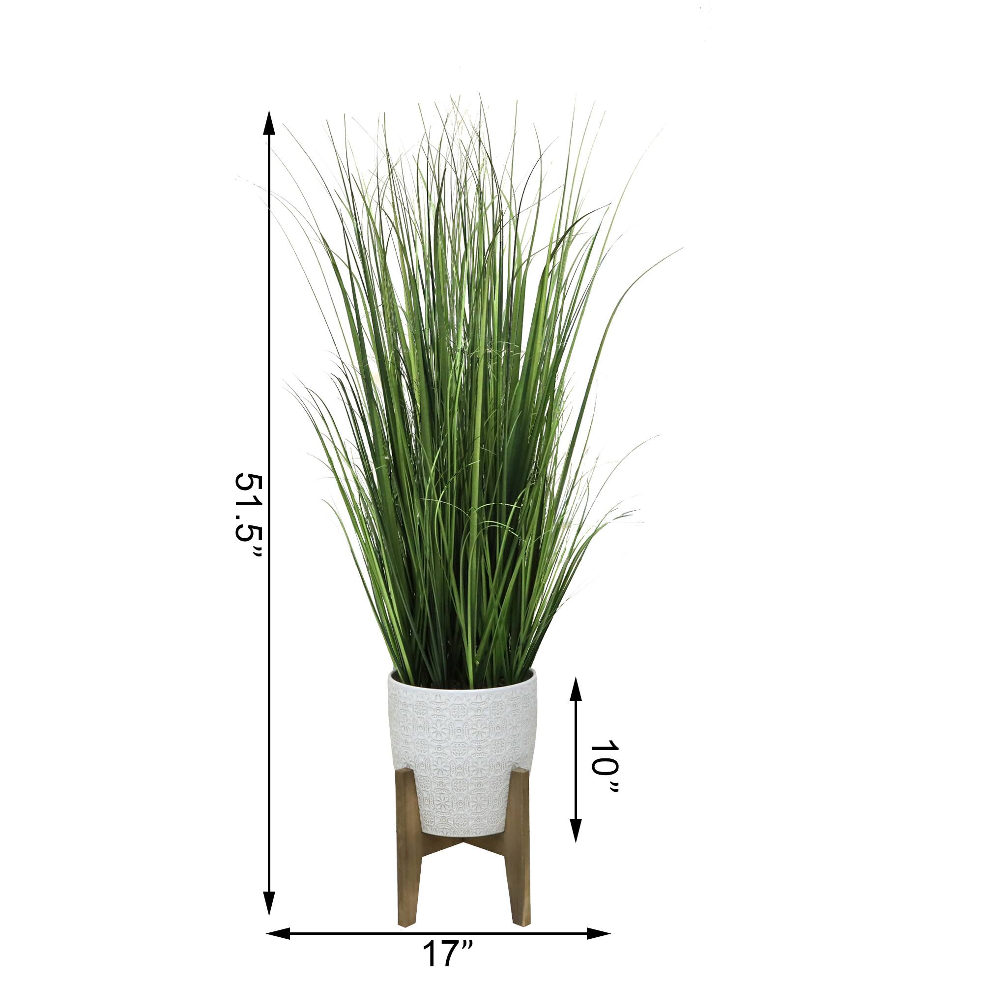 Flora Bunda® 50" Onion Grass In 10" Catheral Ceramic Pot On Stand