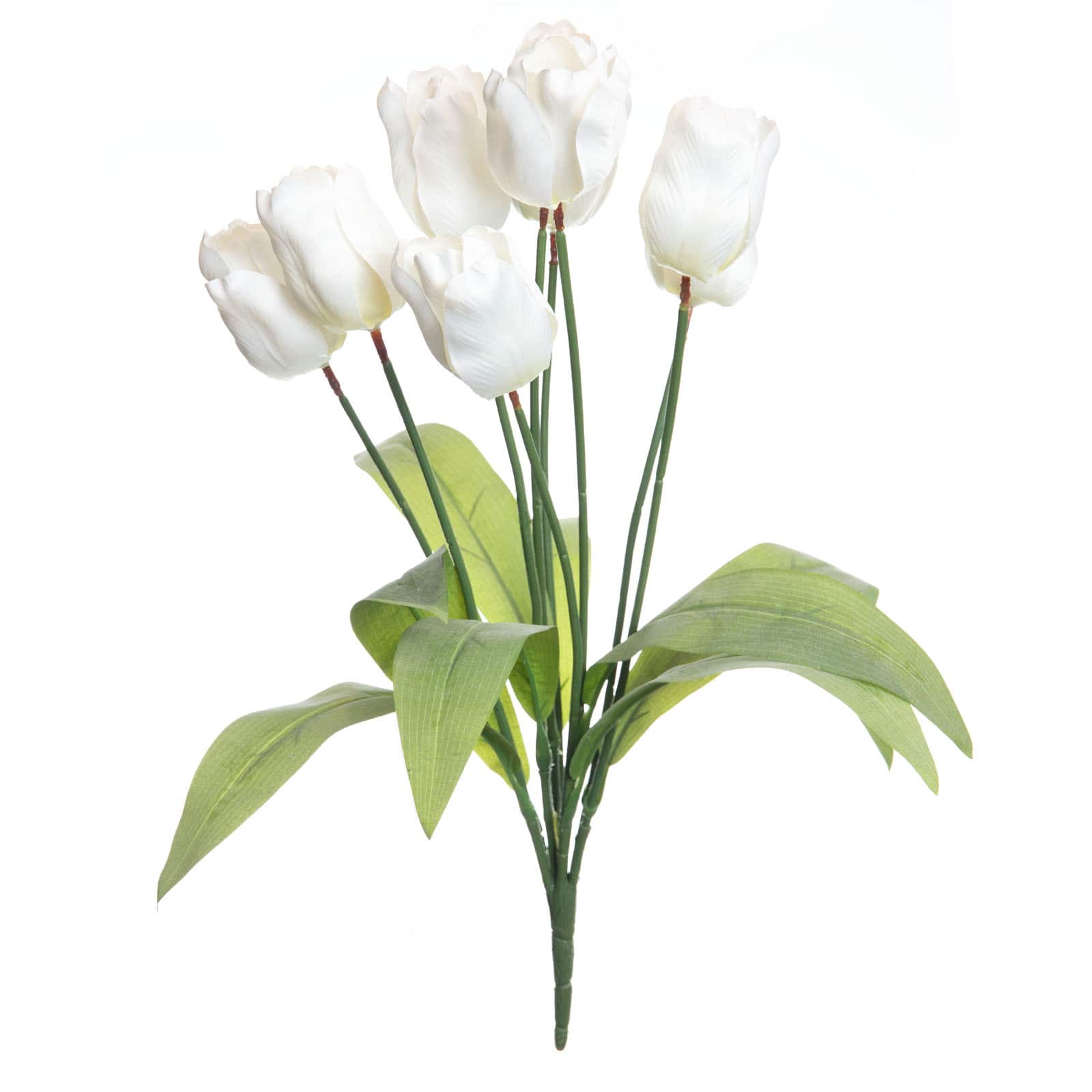 White Tulip Bush by Ashland&#xAE;