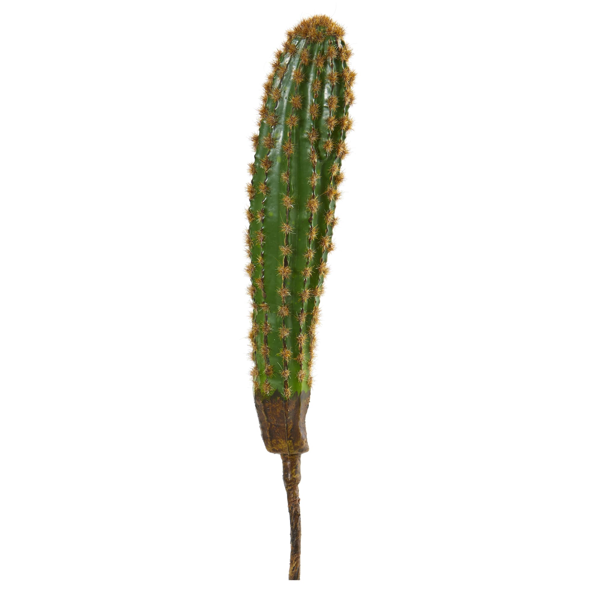 16" Cactus Plant, 6ct.
