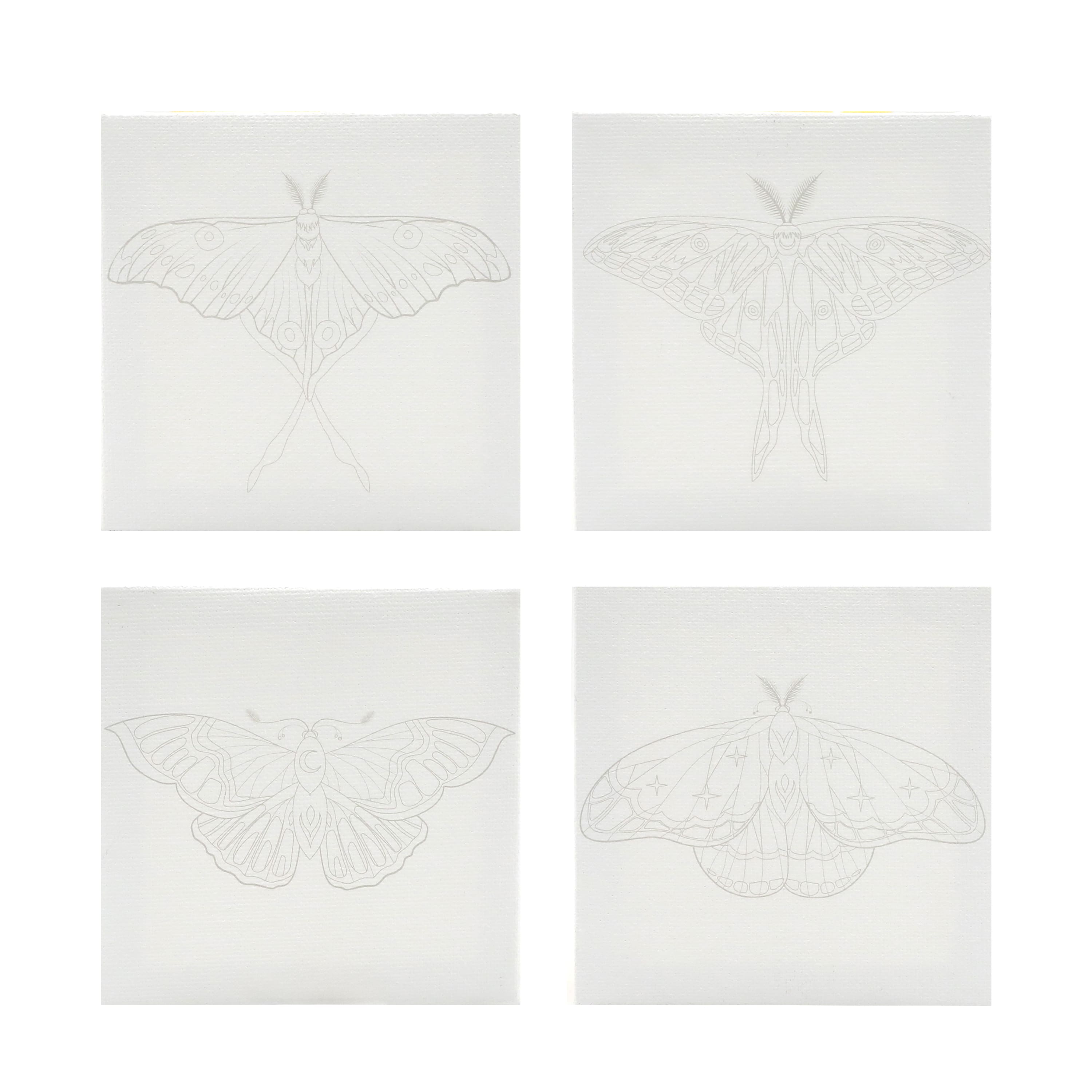 4&#x22; x 4&#x22; Moths Canvas Painting Kit by Craft Smart&#xAE;