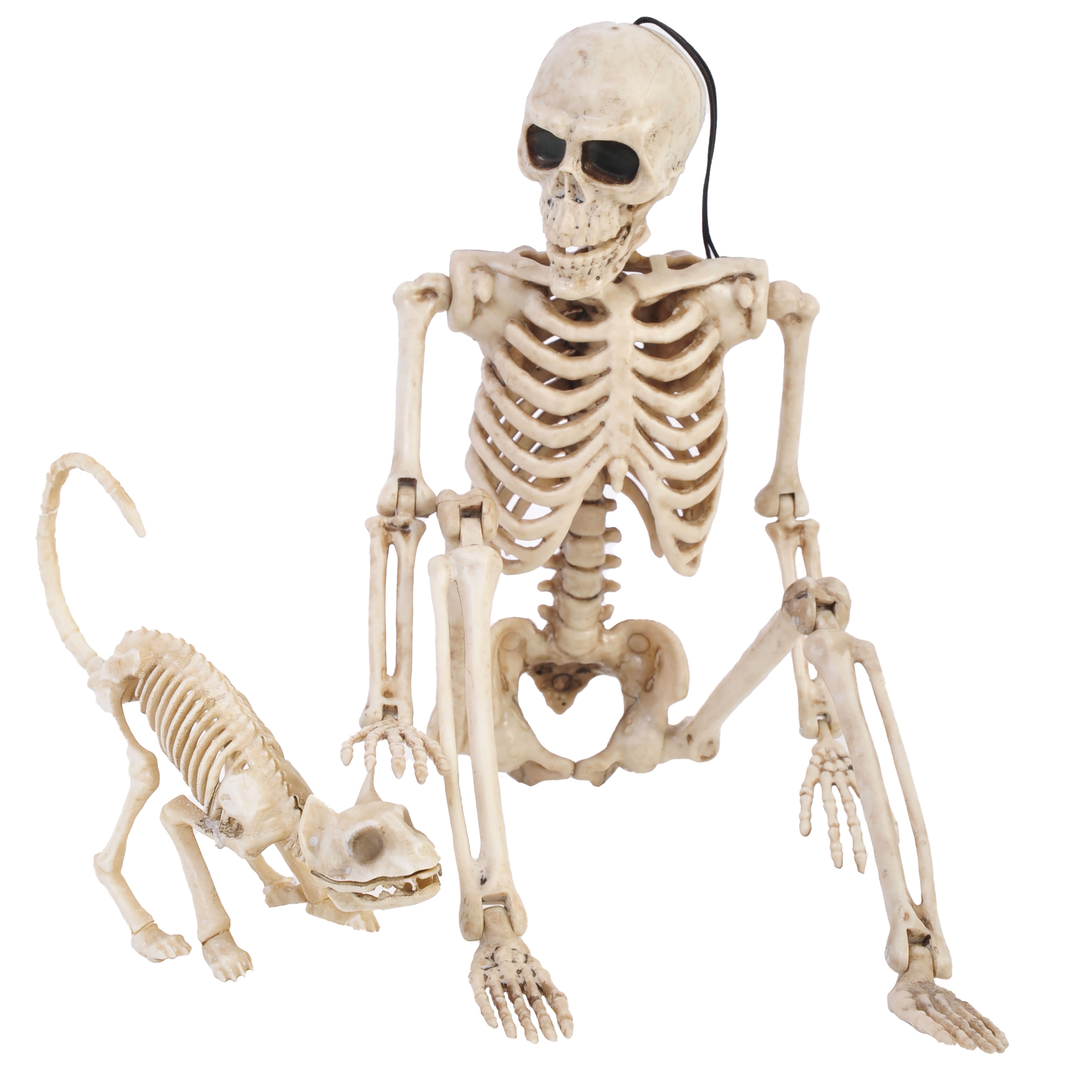 Assorted 15&#x22; Skeleton Pet Walker by Ashland&#xAE;, 1pc.