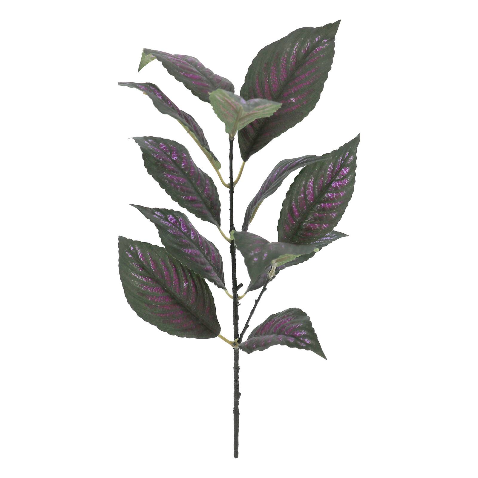 15&#x22; Perilepta Dyeriana Leaf Pick by Ashland&#xAE;