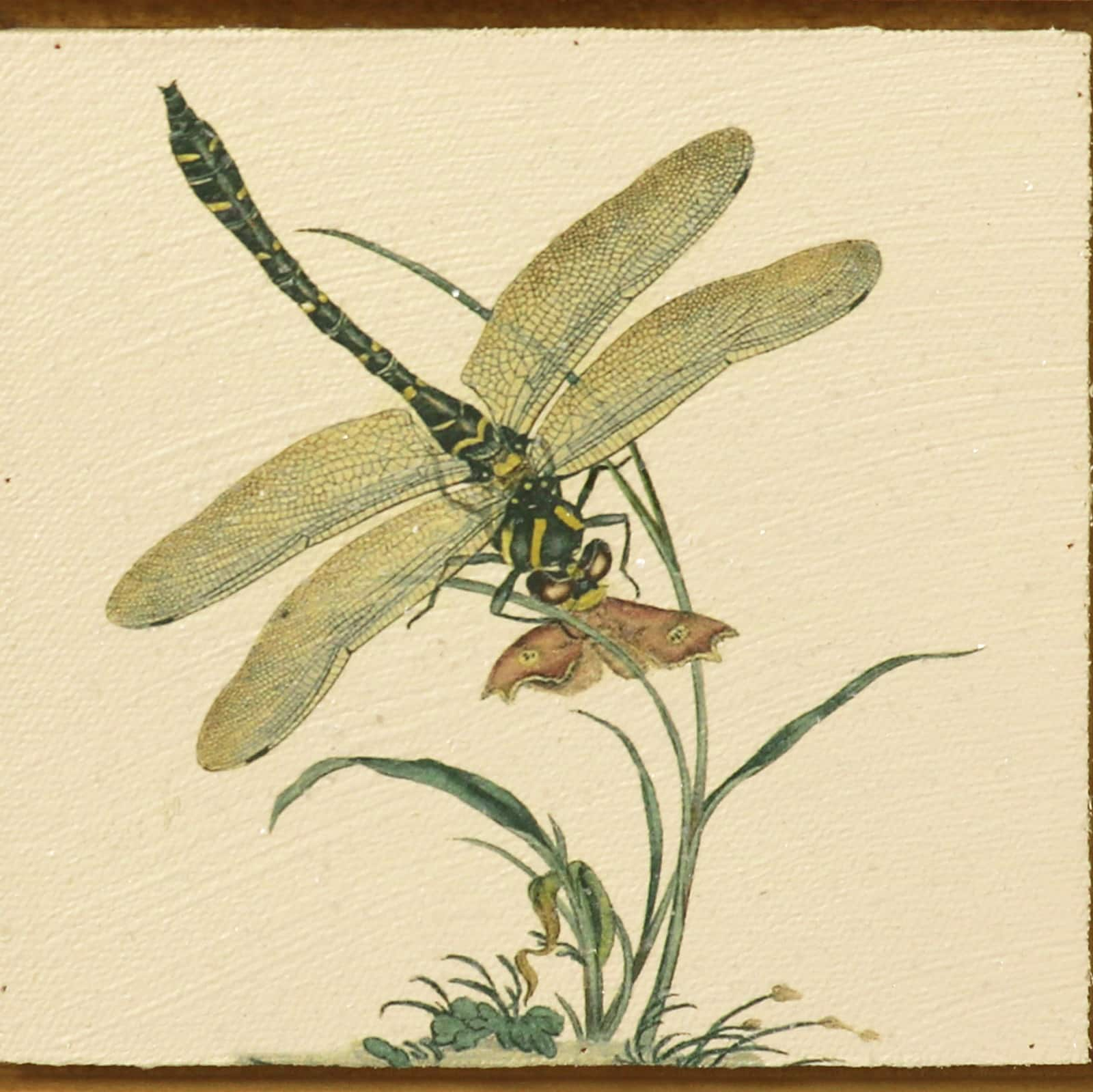 7&#x22; Dragonfly Wall Sign by Ashland&#xAE;