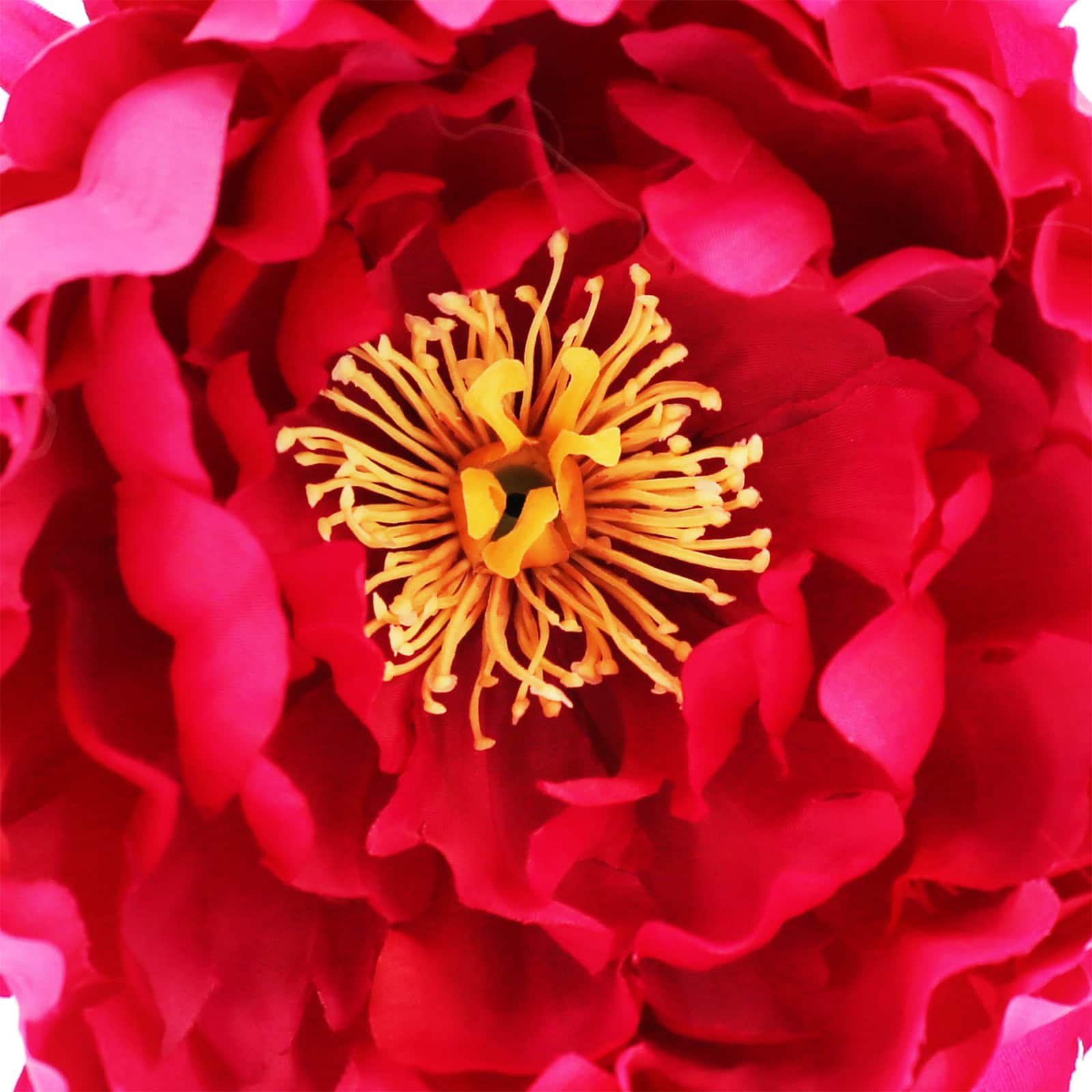 7.5&#x22; Peony Floral Accent by Ashland&#xAE;