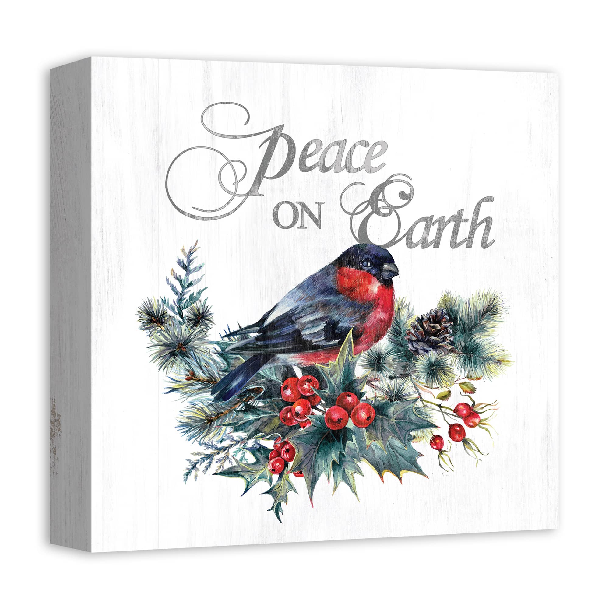 Peace On Earth Bird Canvas Wall Art