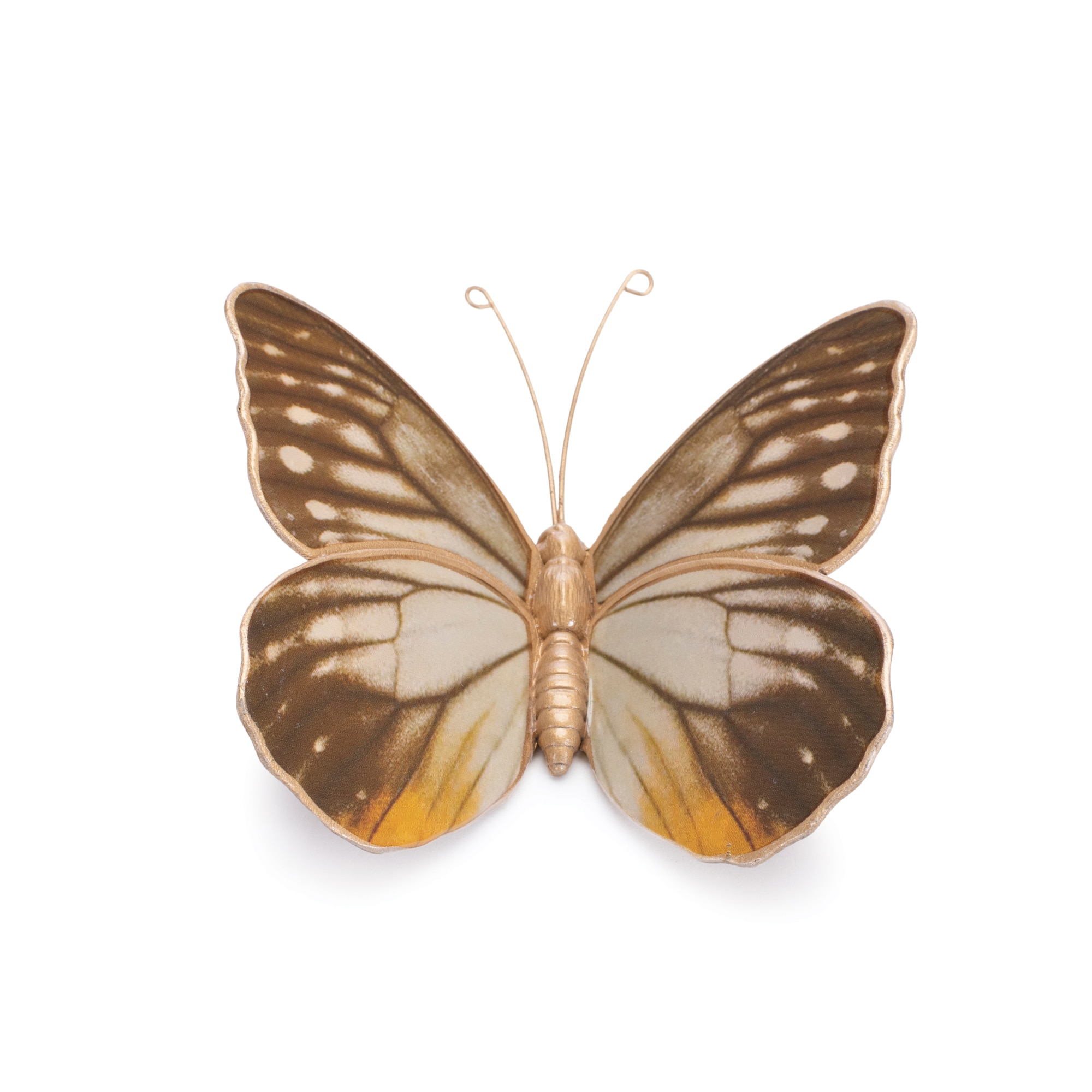 Amber Butterfly &#x26; Moth Shelf Sitter Set