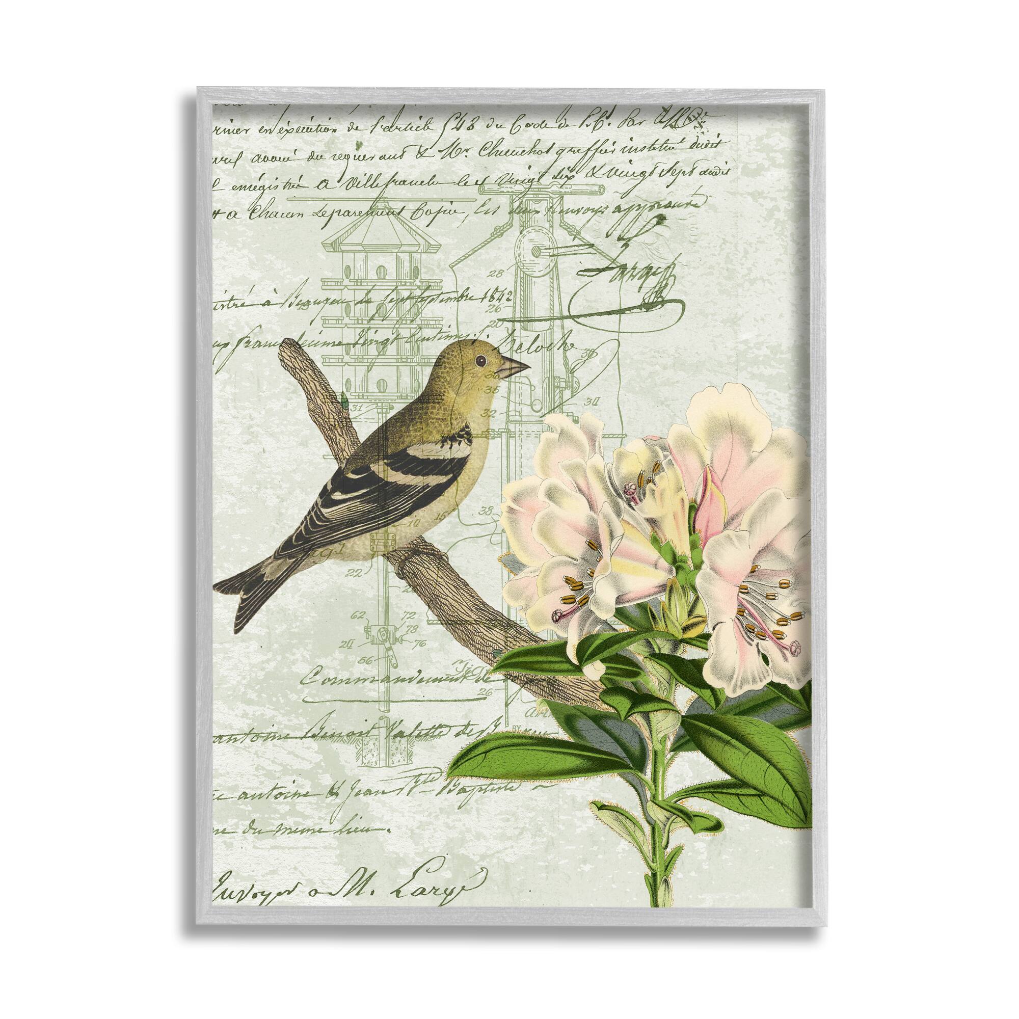 Stupell Industries Bird House Vintage Patent Lily Floral American Goldfinch Framed Wall Art