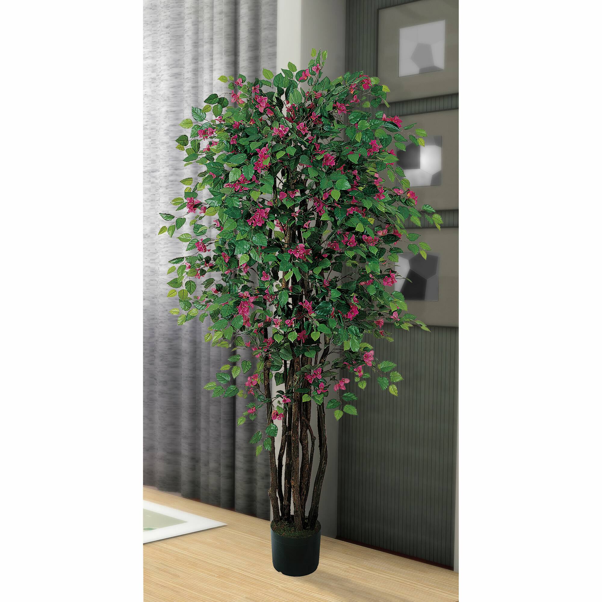 6ft. Potted Bougainvillea Tree