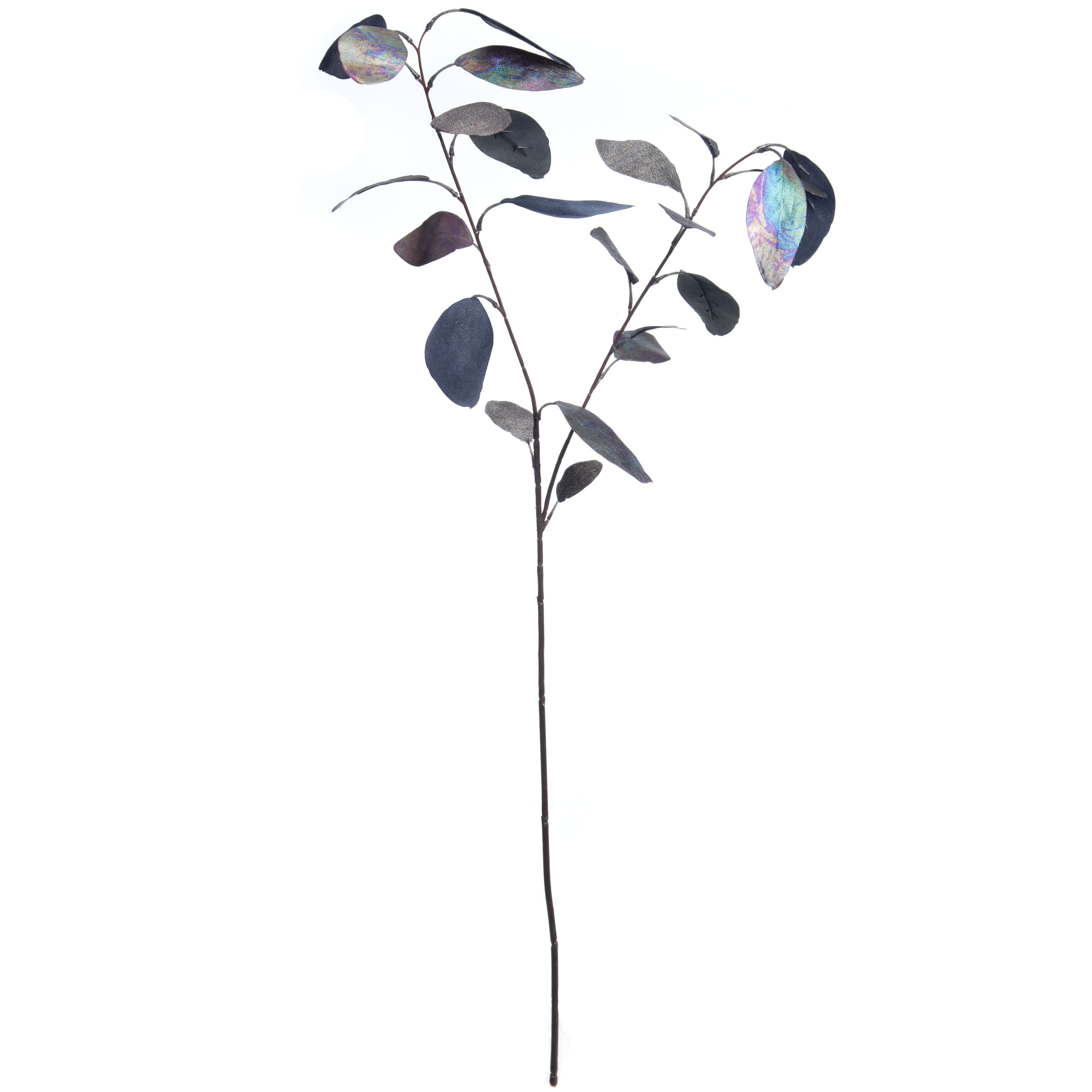 2.5ft. Iridescent Black Eucalyptus Stem by Ashland&#xAE;