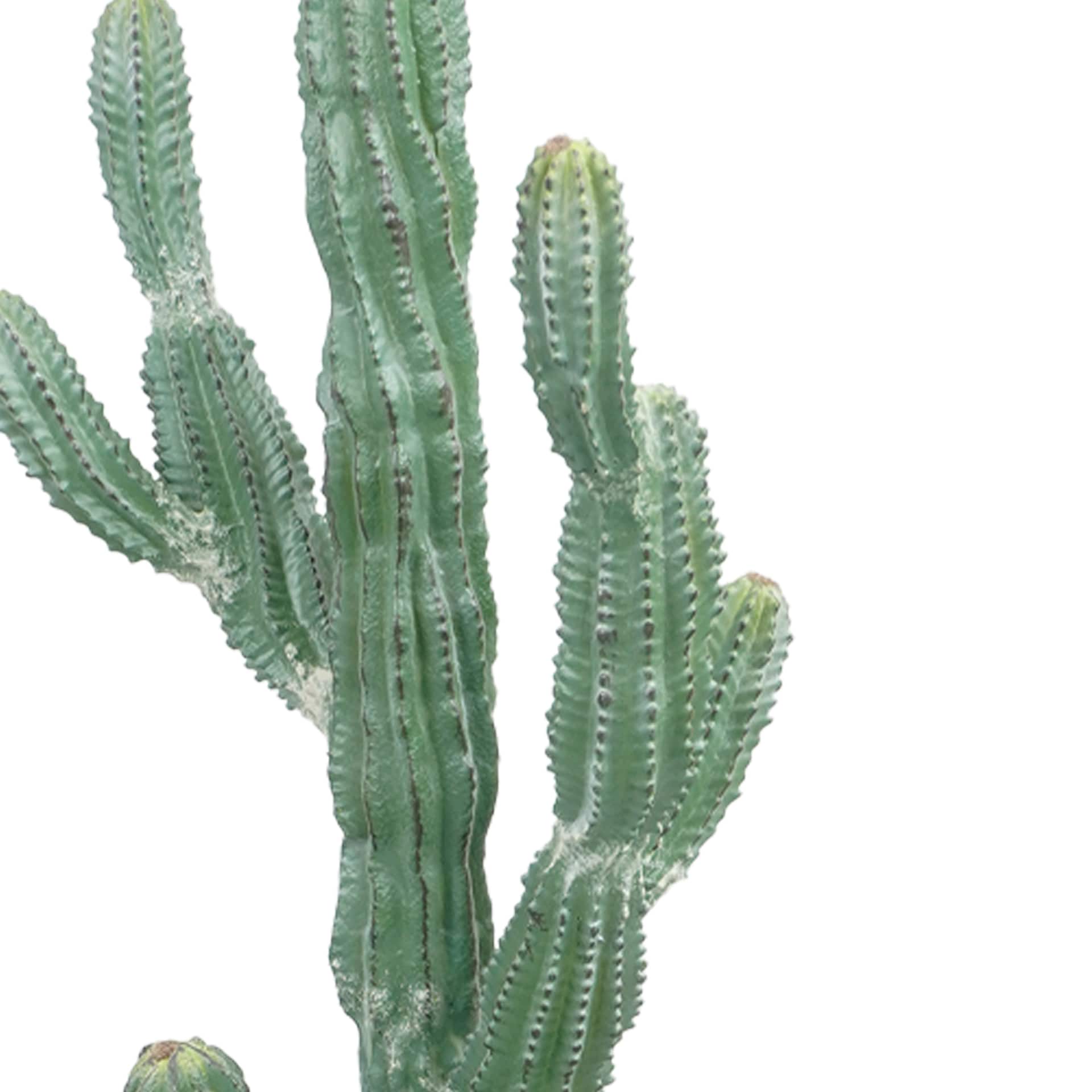 Cactus vert en pot de 94 cm d’Ashland
