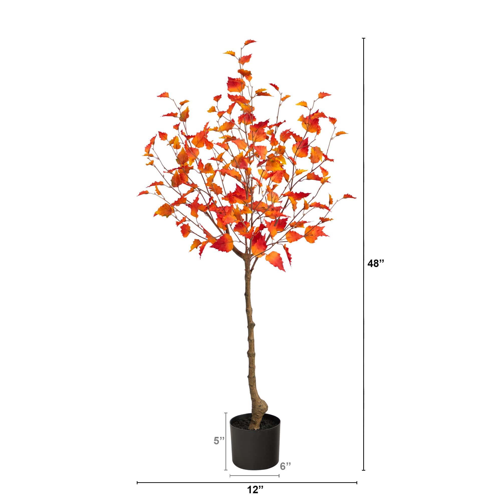 4ft. Potted Fall Birch Autumn Tree