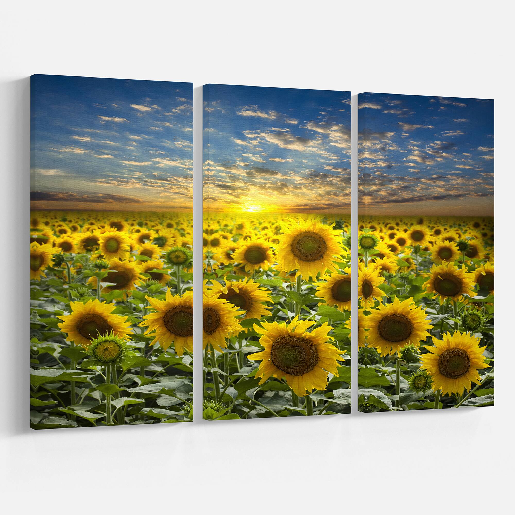 Designart - Field of Blooming Sunflowers - Large Flower Canvas Wall Art