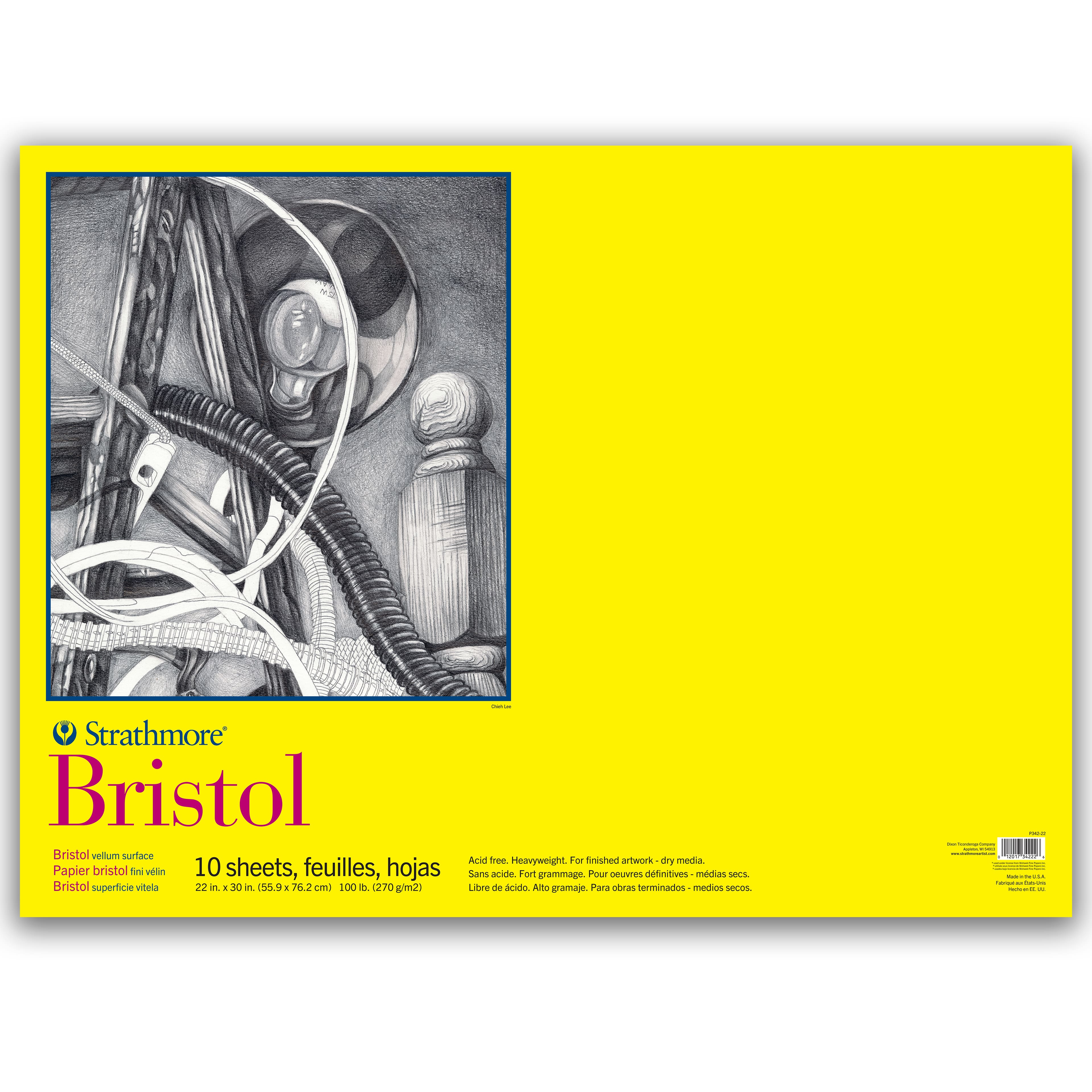 Strathmore® 300 Series Bristol Vellum Surface Pad, 22 x 30