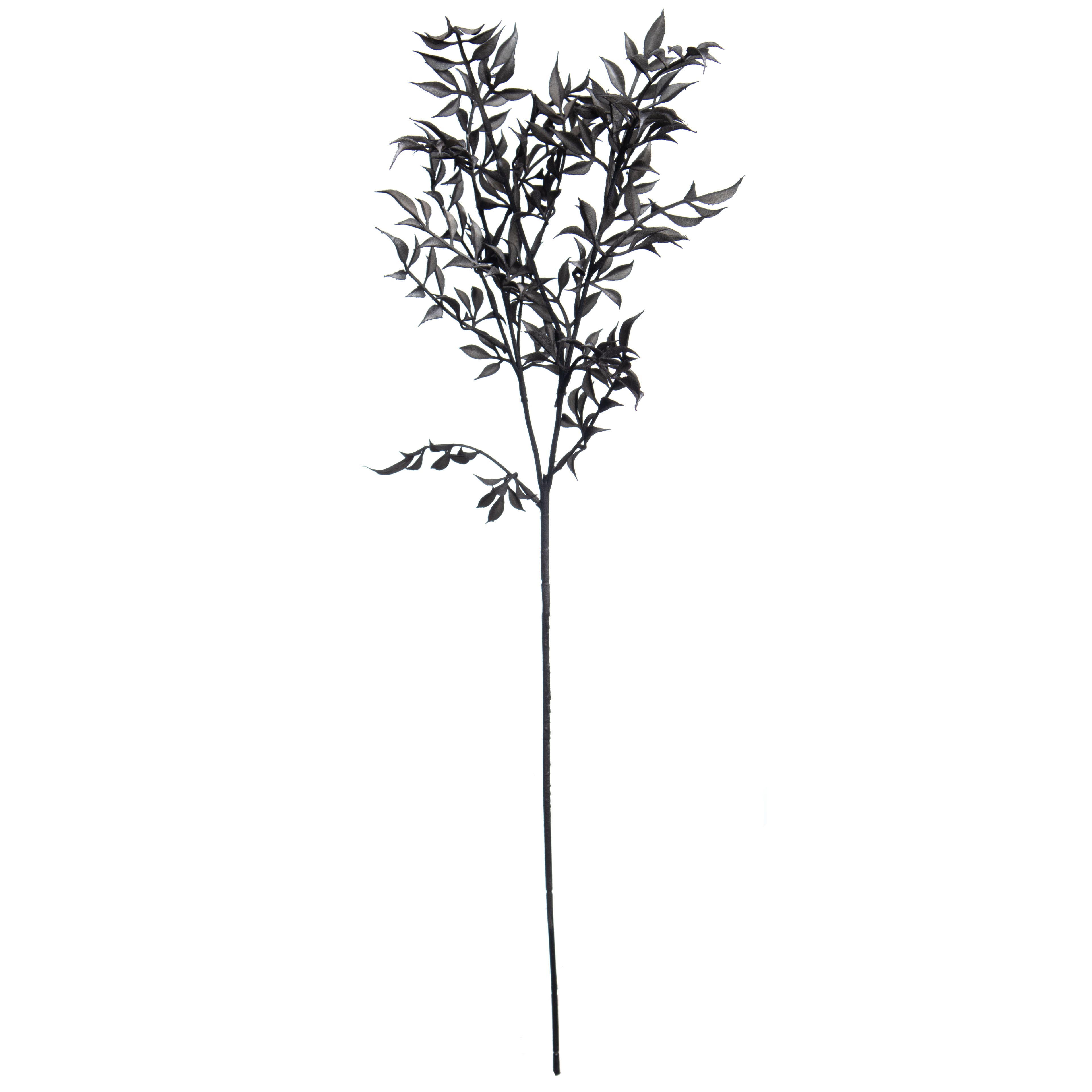 2.5ft. Black Fern Stem by Ashland&#xAE;