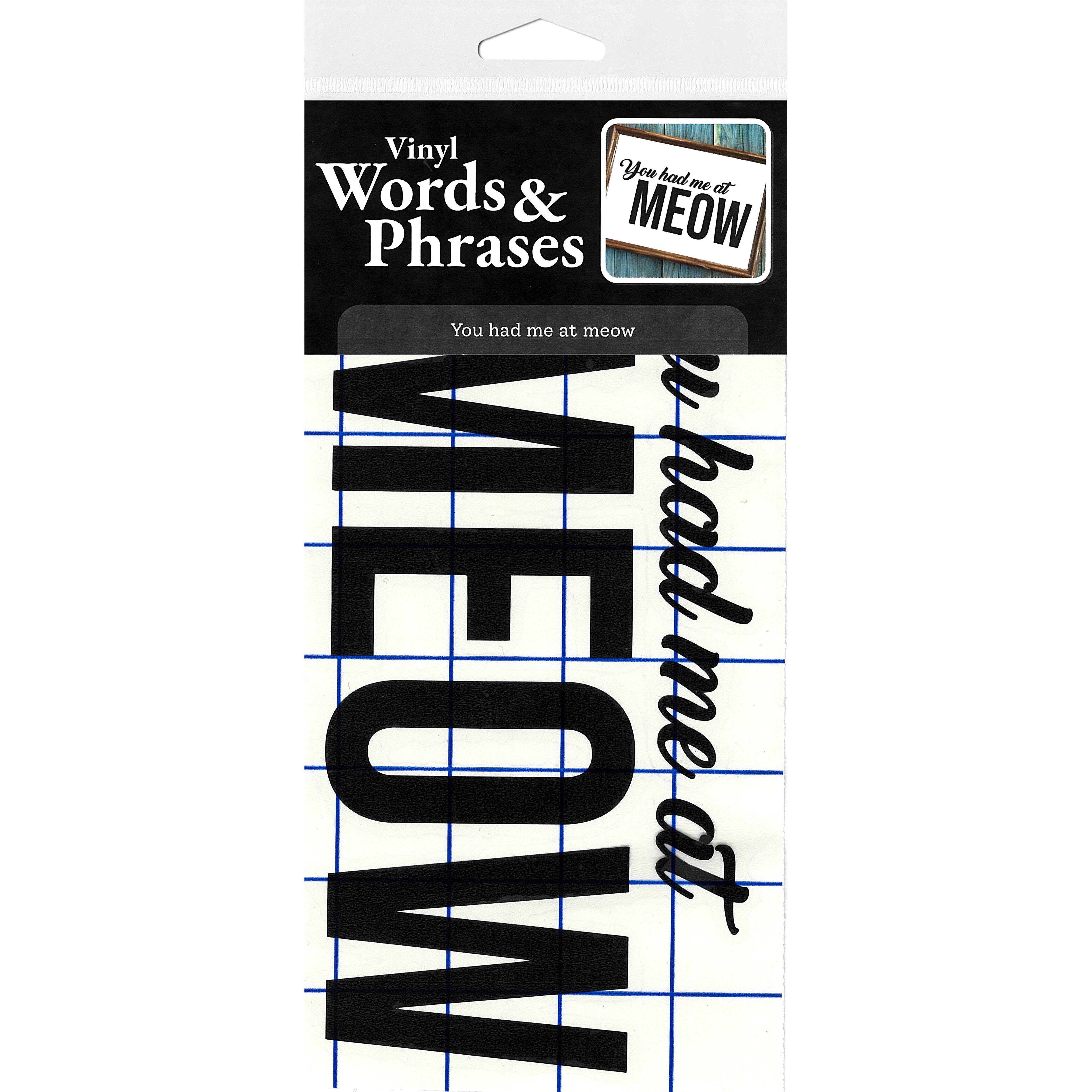 Leisure Arts&#xAE; Vinyl Matte Black You Had Me at Meow Decal