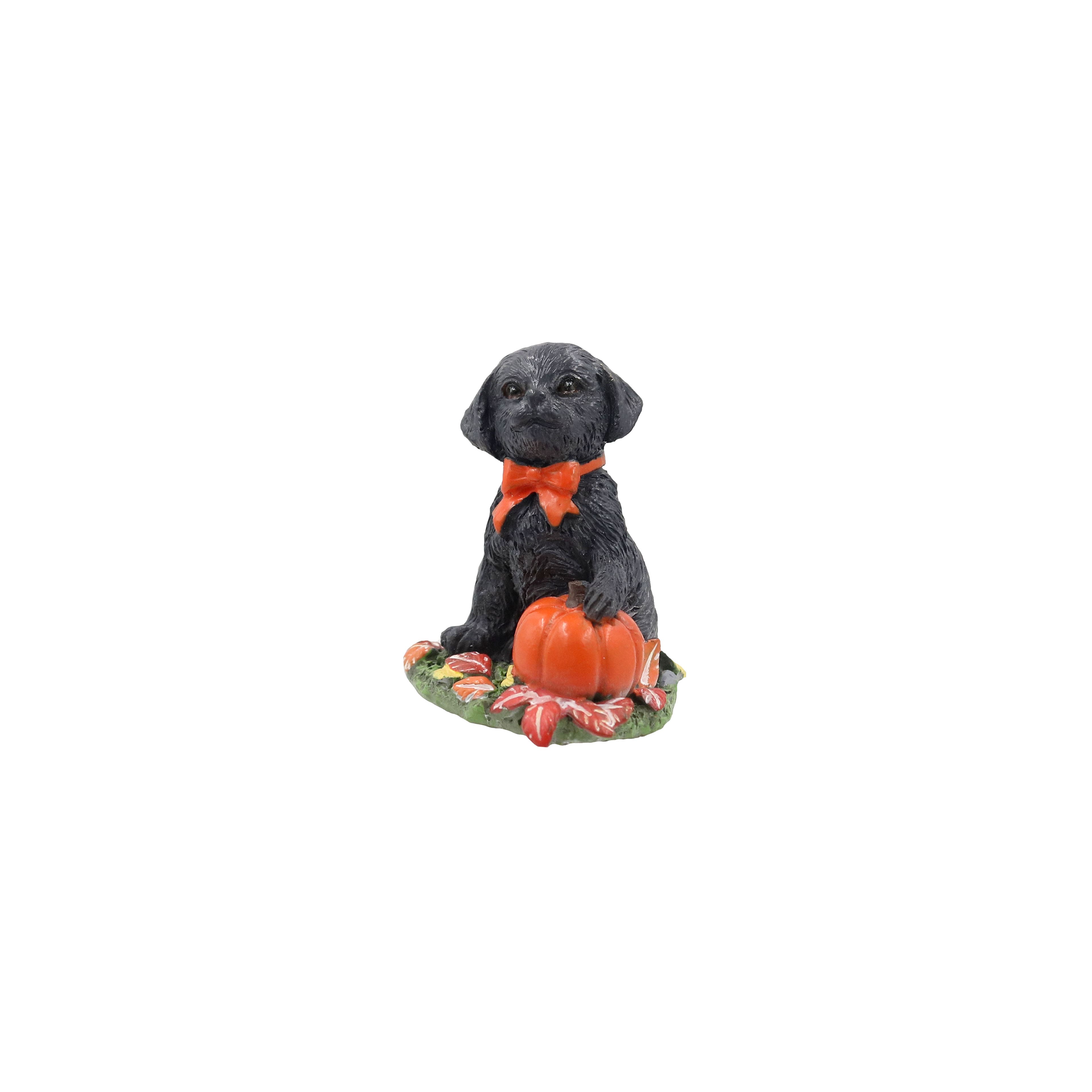 Mini Lab with Pumpkin by Ashland&#xAE;