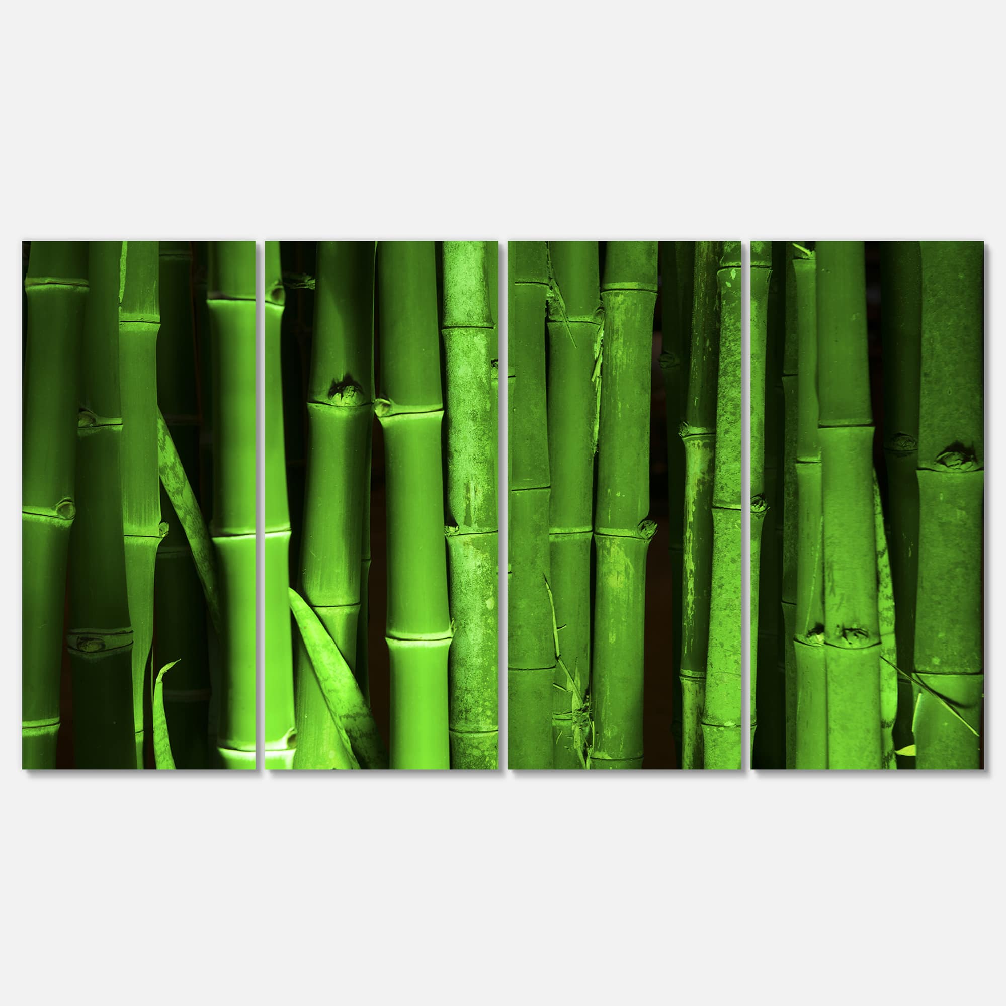 Designart - Green Bamboo Forest - Floral Canvas Art Print