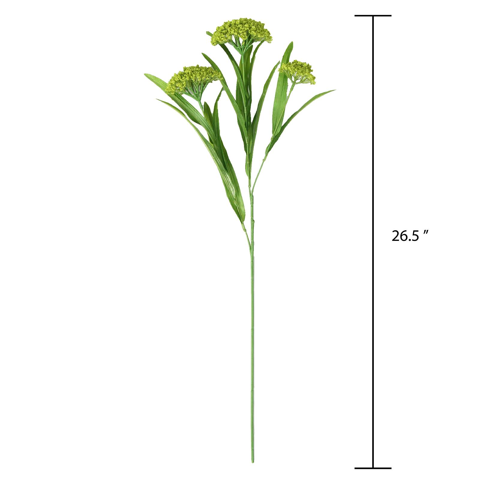 Green Queen Anne&#x27;s Lace Stem by Ashland&#xAE;