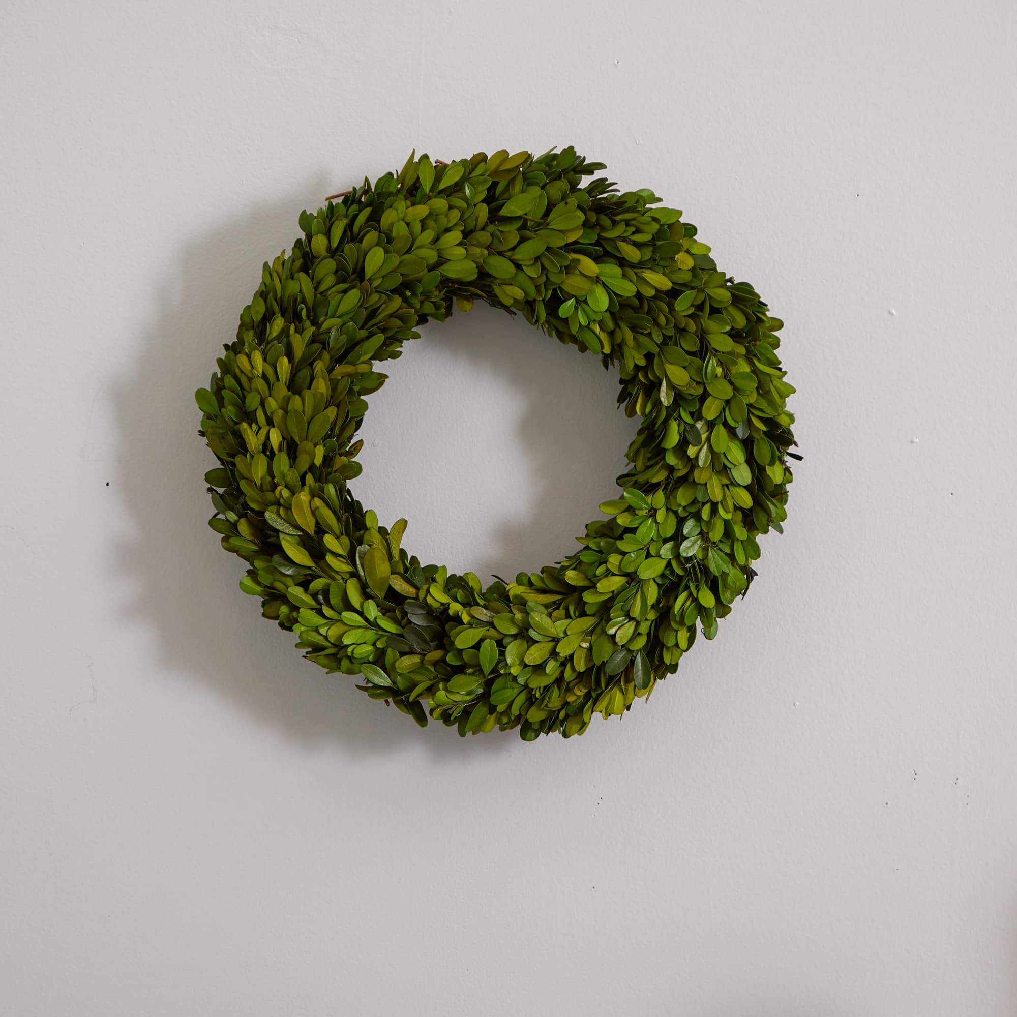 14&#x27;&#x27; Green Preserved Boxwood Wreath