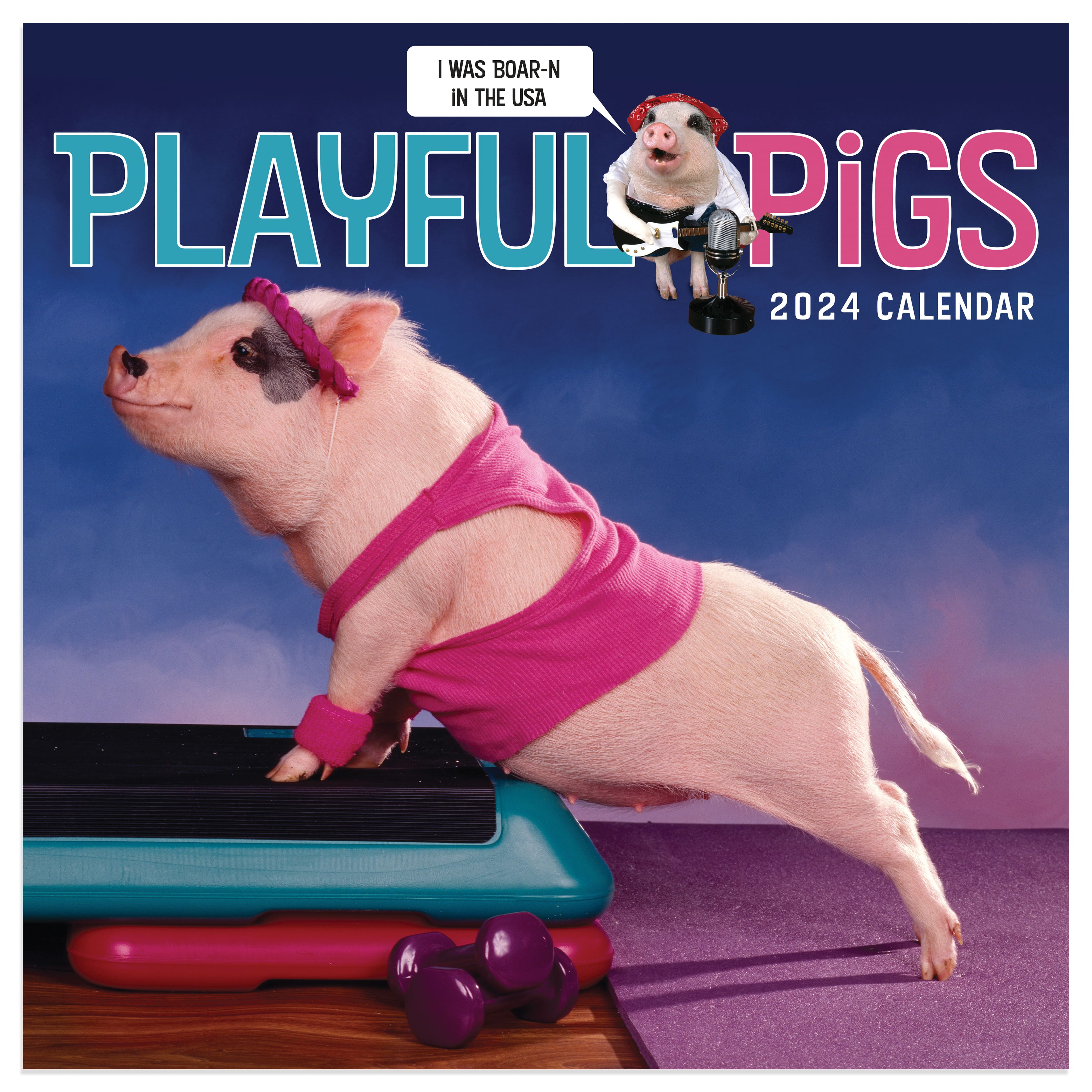 TF Publishing 2024 Playful Pigs Mini Calendar