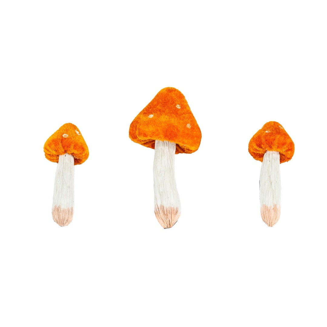 Orange Mushrooms, 3ct. by Ashland&#xAE;
