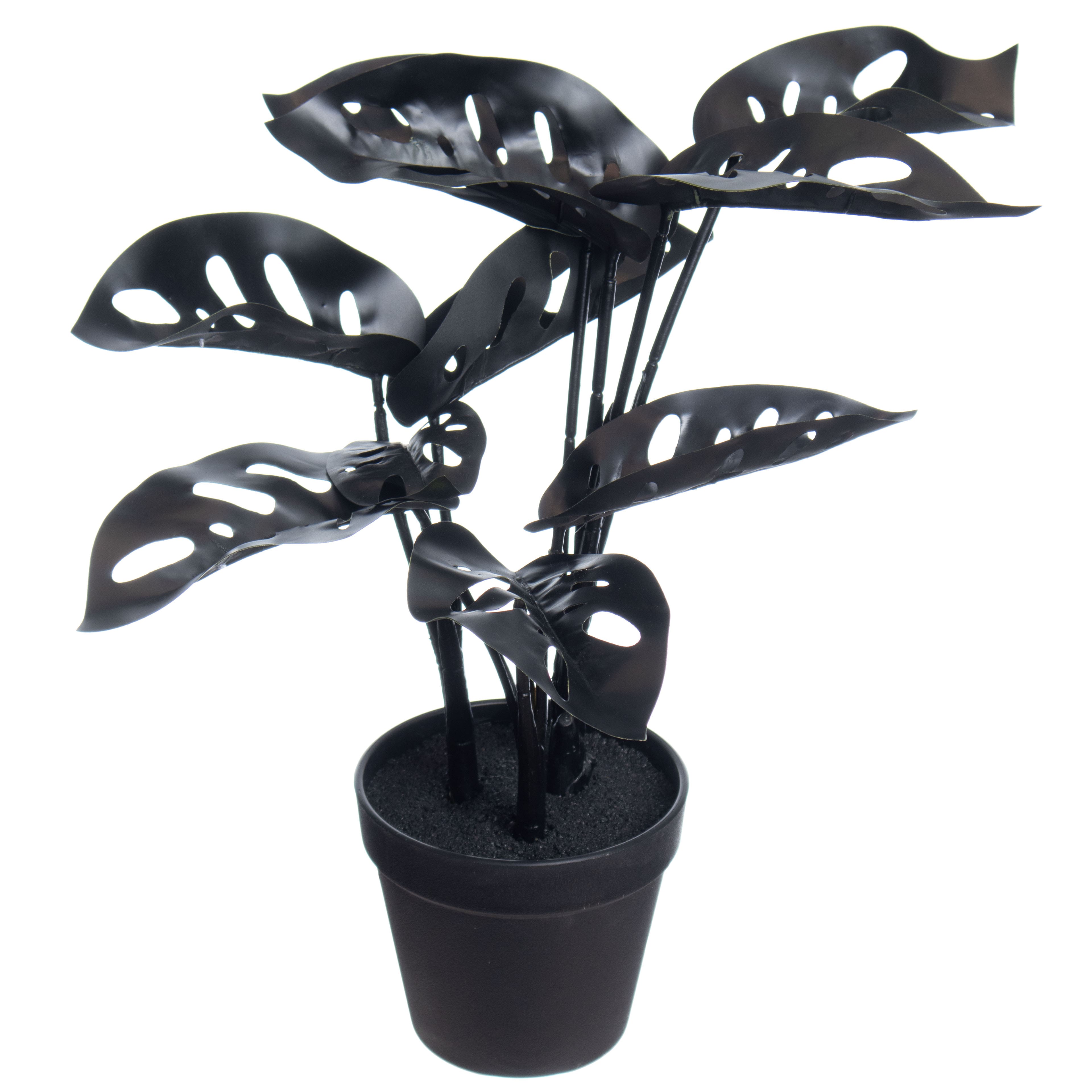 14.5" Potted Broken Heart Monstera by Ashland®