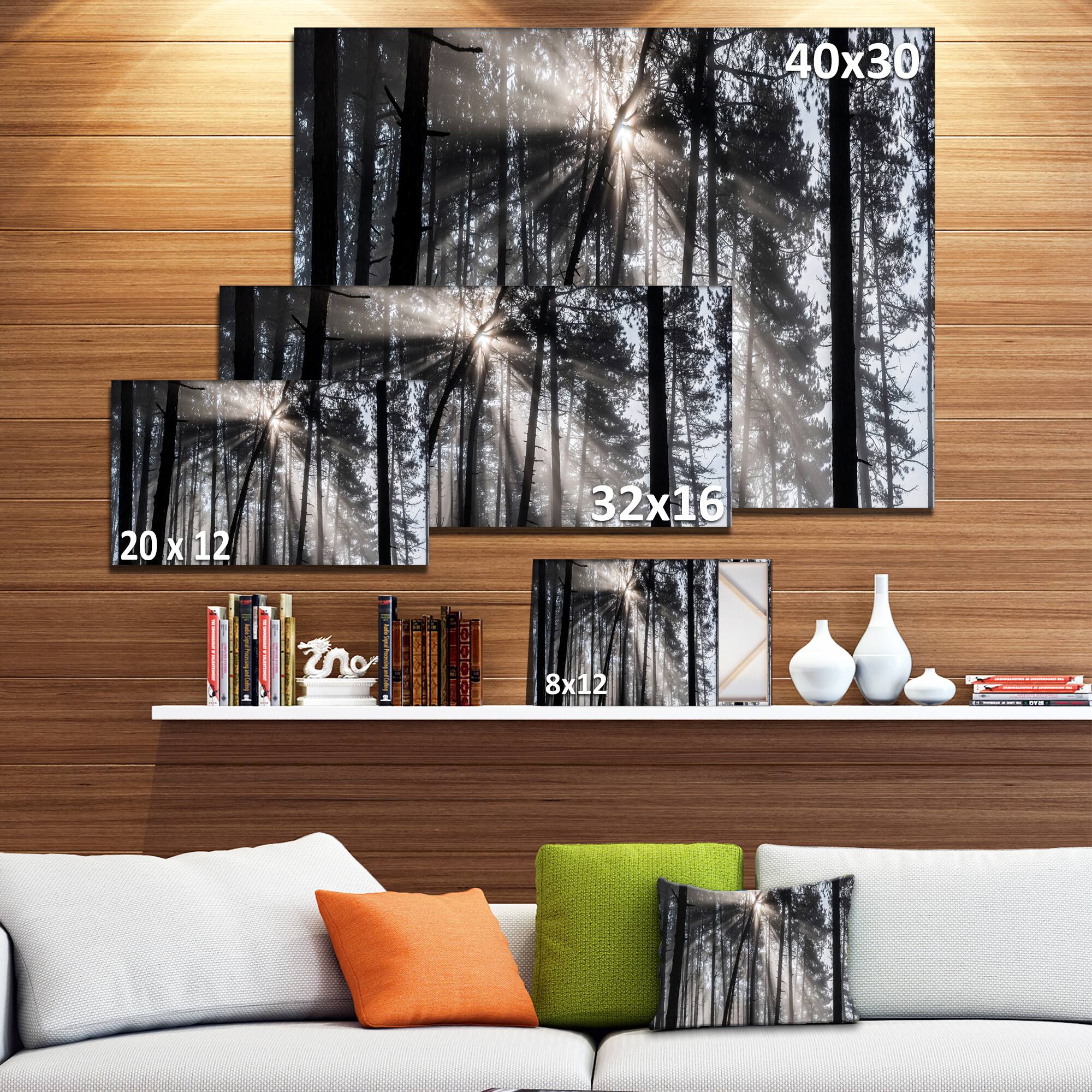 Designart - Sunbeams through Black White Forest - Forest Canvas Wall Art Print