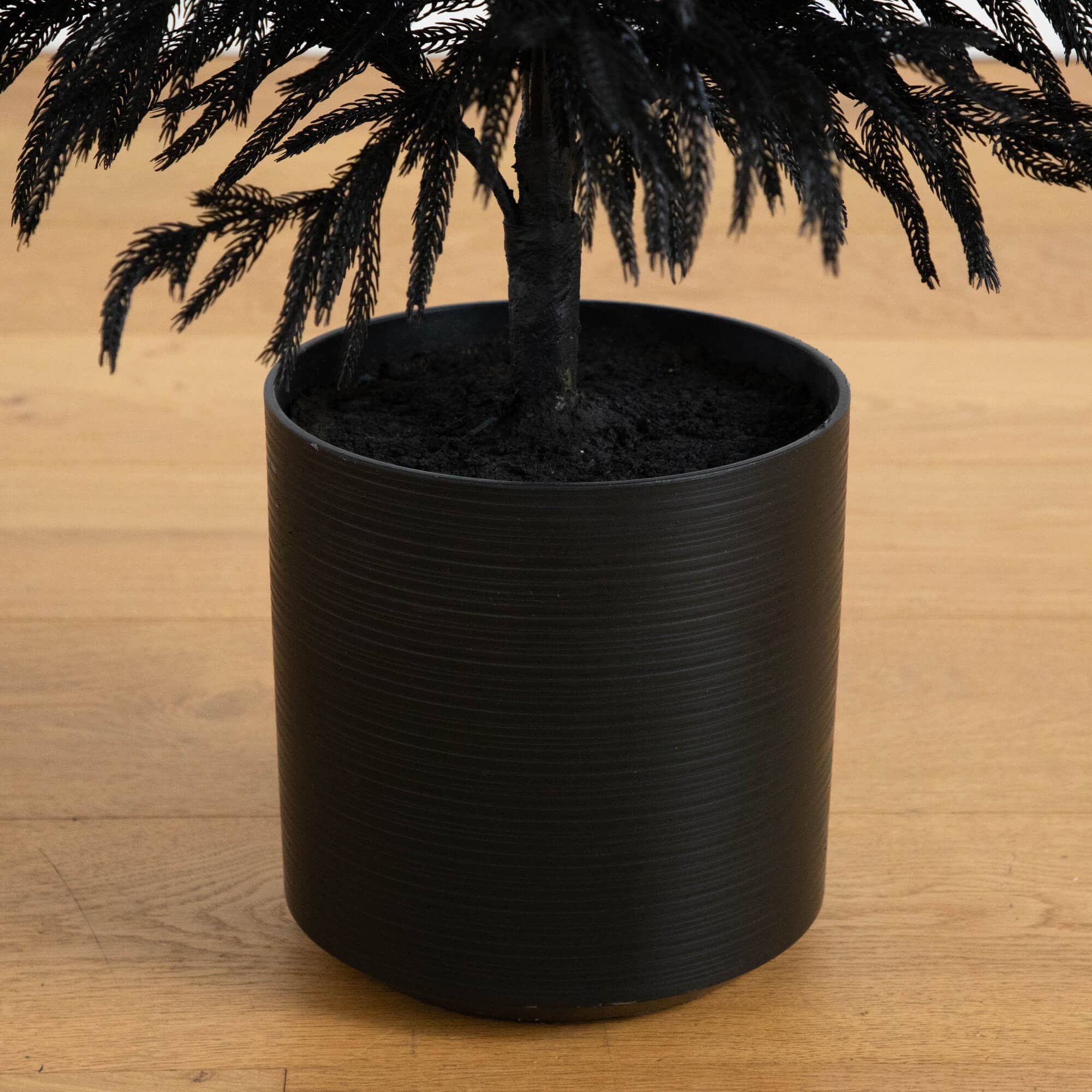 5ft. Artificial Halloween Real Touch Black Norfolk Pine Christmas Tree with Natural Look