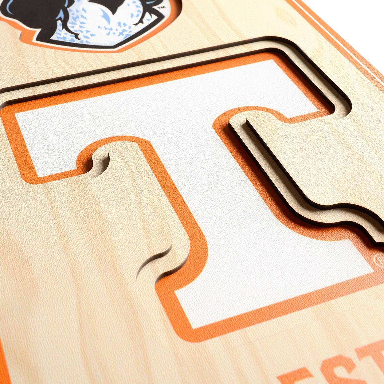 College 3D StadiumView Banner