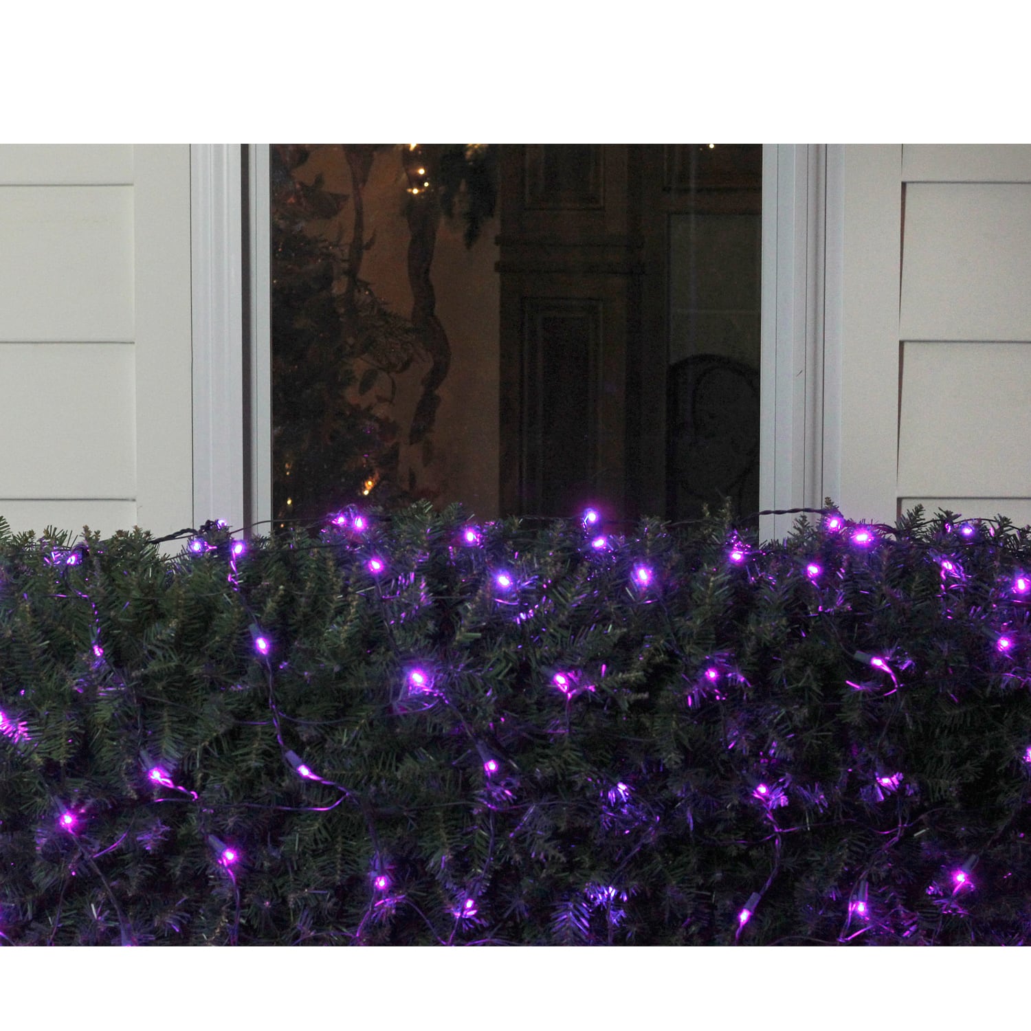 4ft. x 6ft. LED Wide Angle Net Style Christmas Lights
