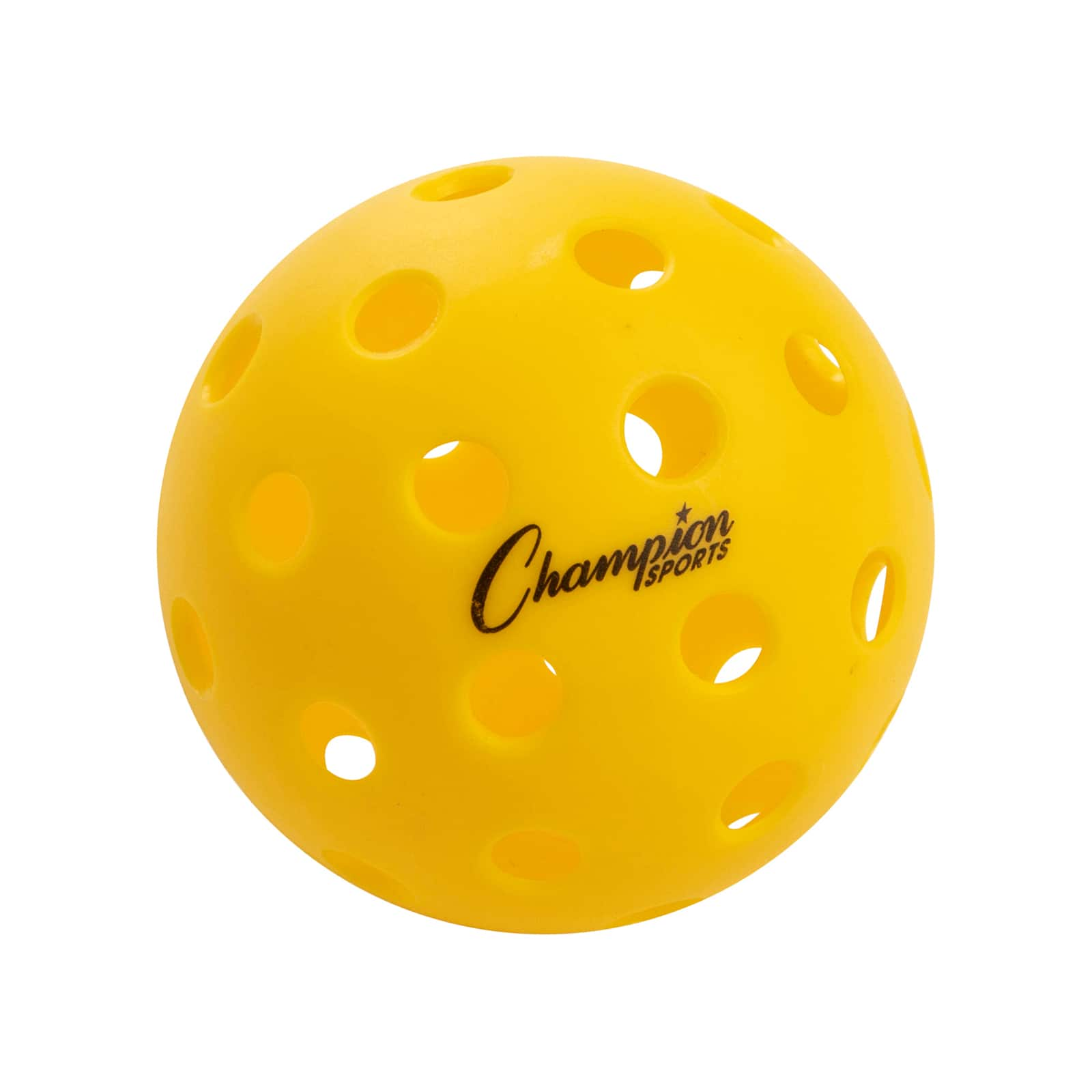 Champion Sports Recreational Outdoor Pickleball Set | Michaels