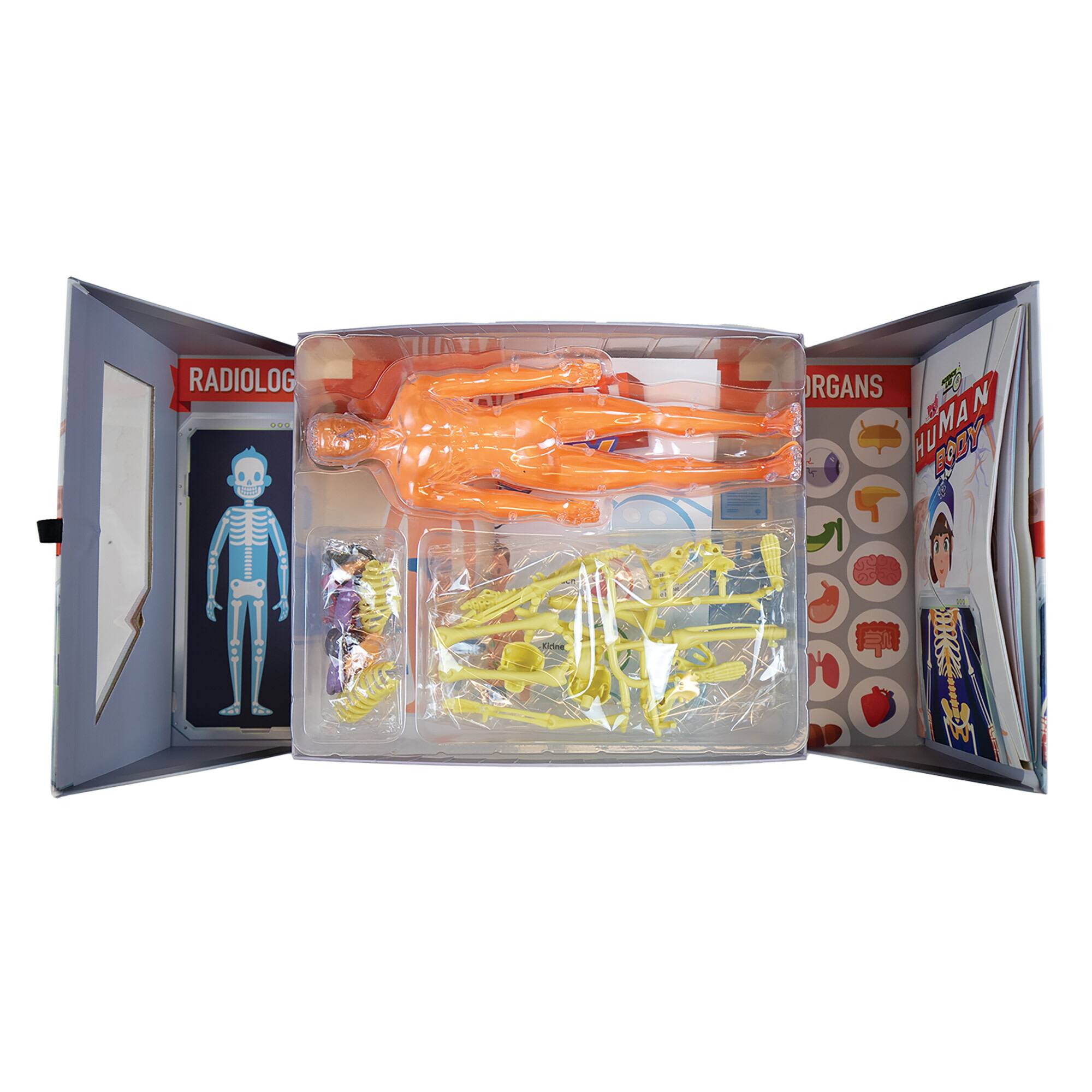 SpiceBox&#x2122; Science Lab Human Body Kit